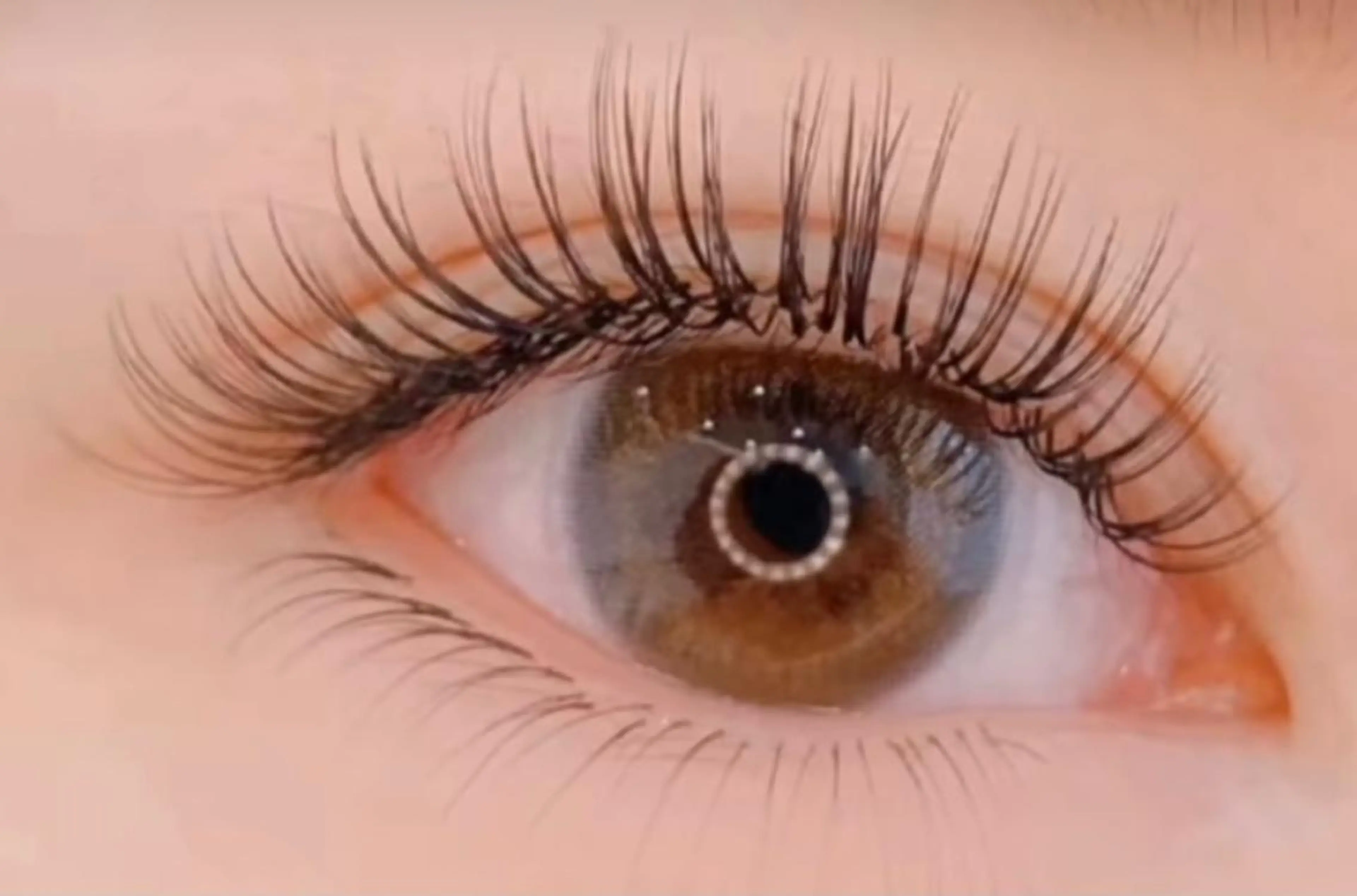 大人気🧚‍♂️ パリエク🧚パリジェンヌ（上まつ毛）+ フラットラッシュ 140本+キープ美容液の写真