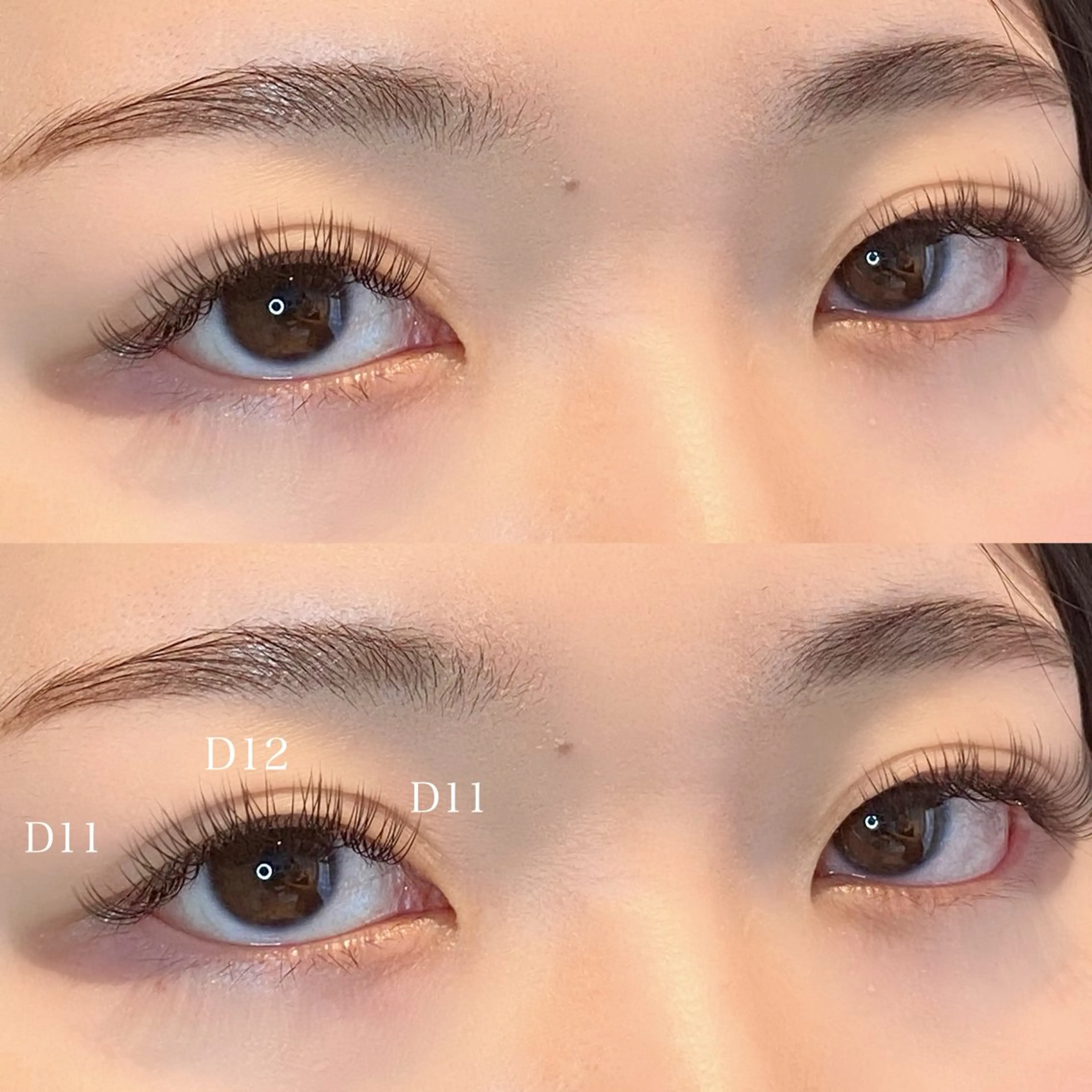 マツエク・マツパ キュート Dカール ナチュラル マツエク diarblue茅ヶ崎所属・diarblue あおい🫧のマツエク・マツパデザイン