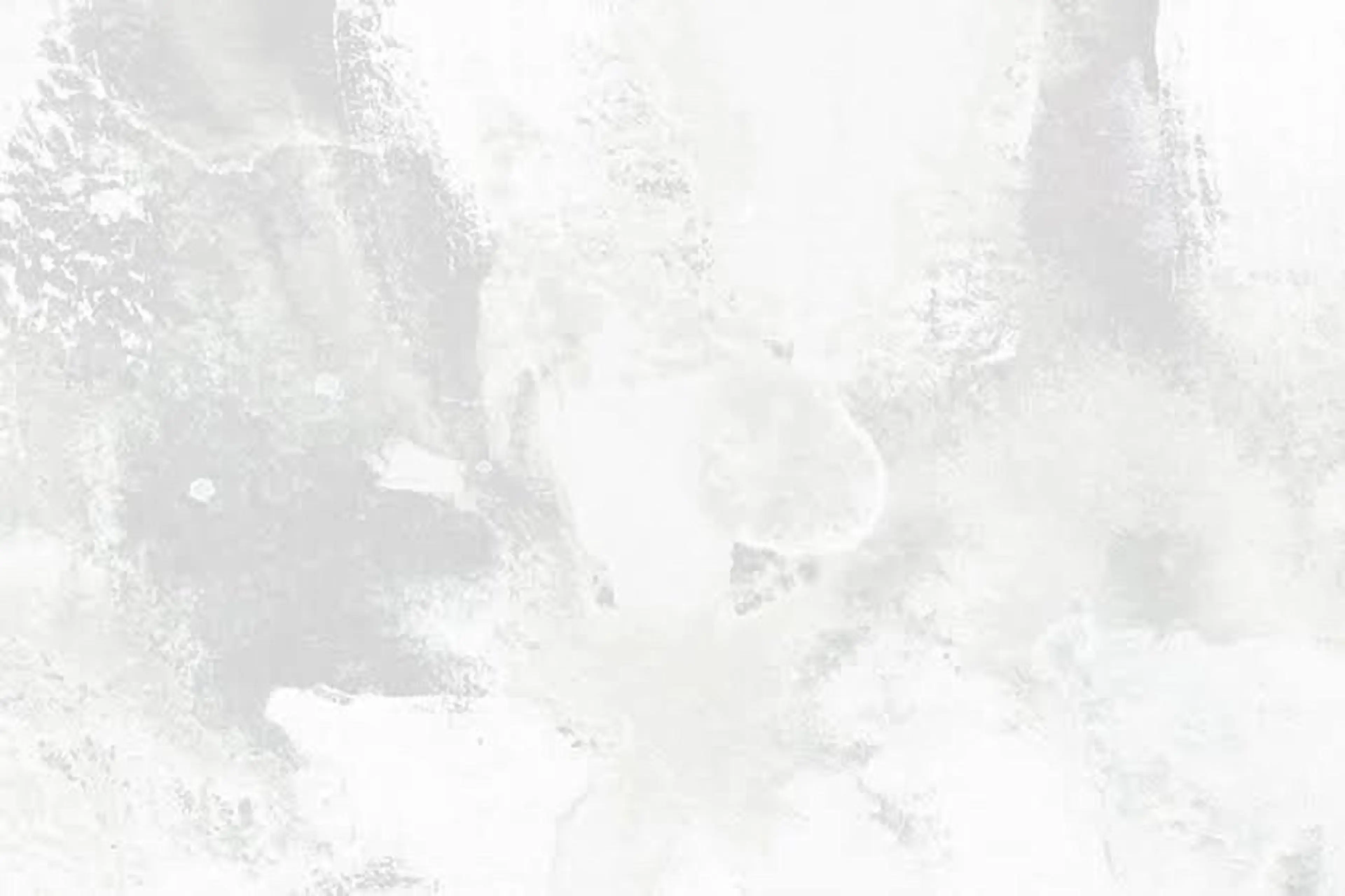 【縮毛メニュー❄️】前髪カット+ケアカラー＋お顔周り縮毛矯正（全体カットは＋¥2,500）の写真