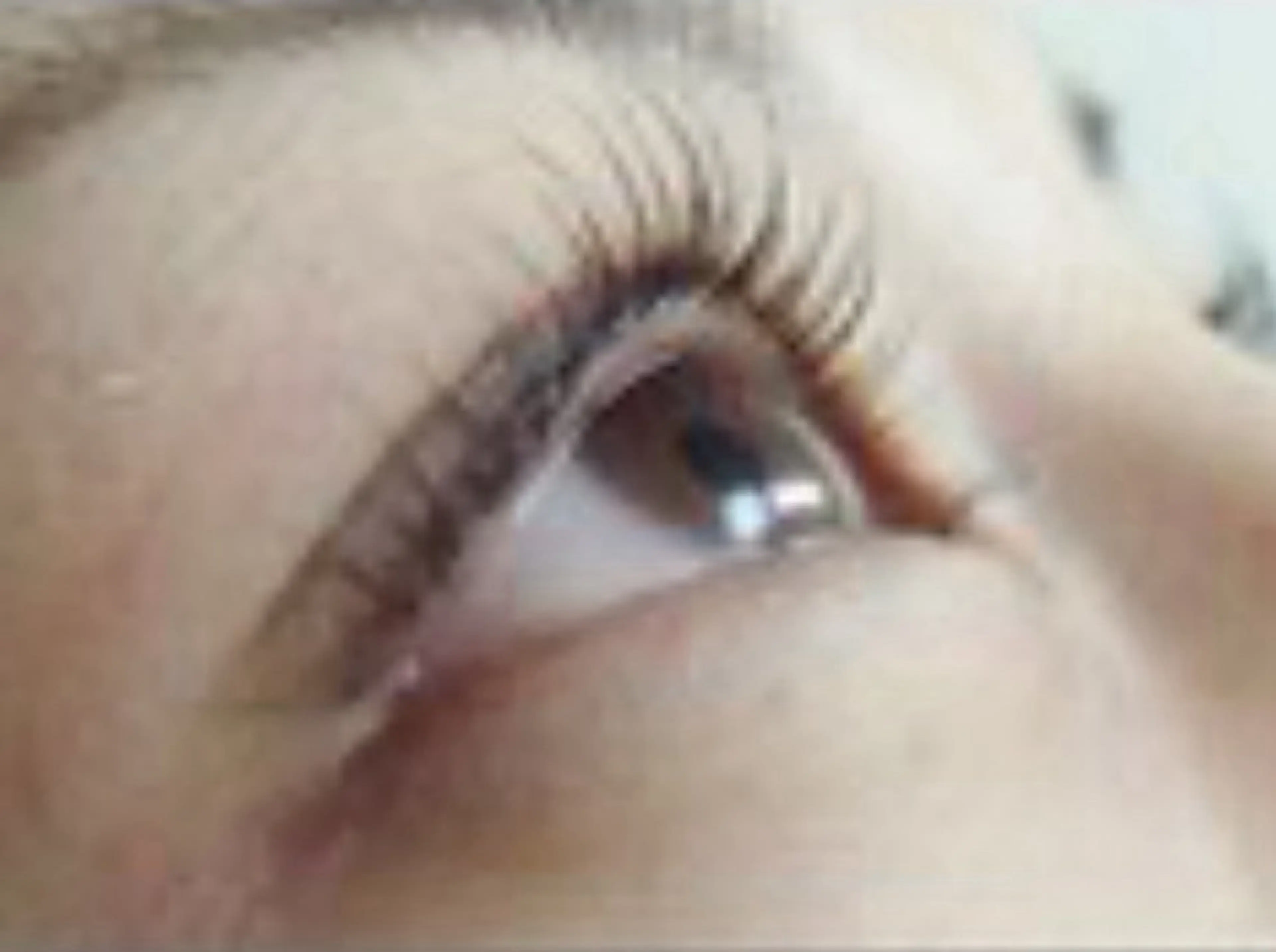 練習モデルメニュー！パリジェンヌラッシュリフトorまつ毛パーマ✨補足説明必読✨現金払いのみの写真