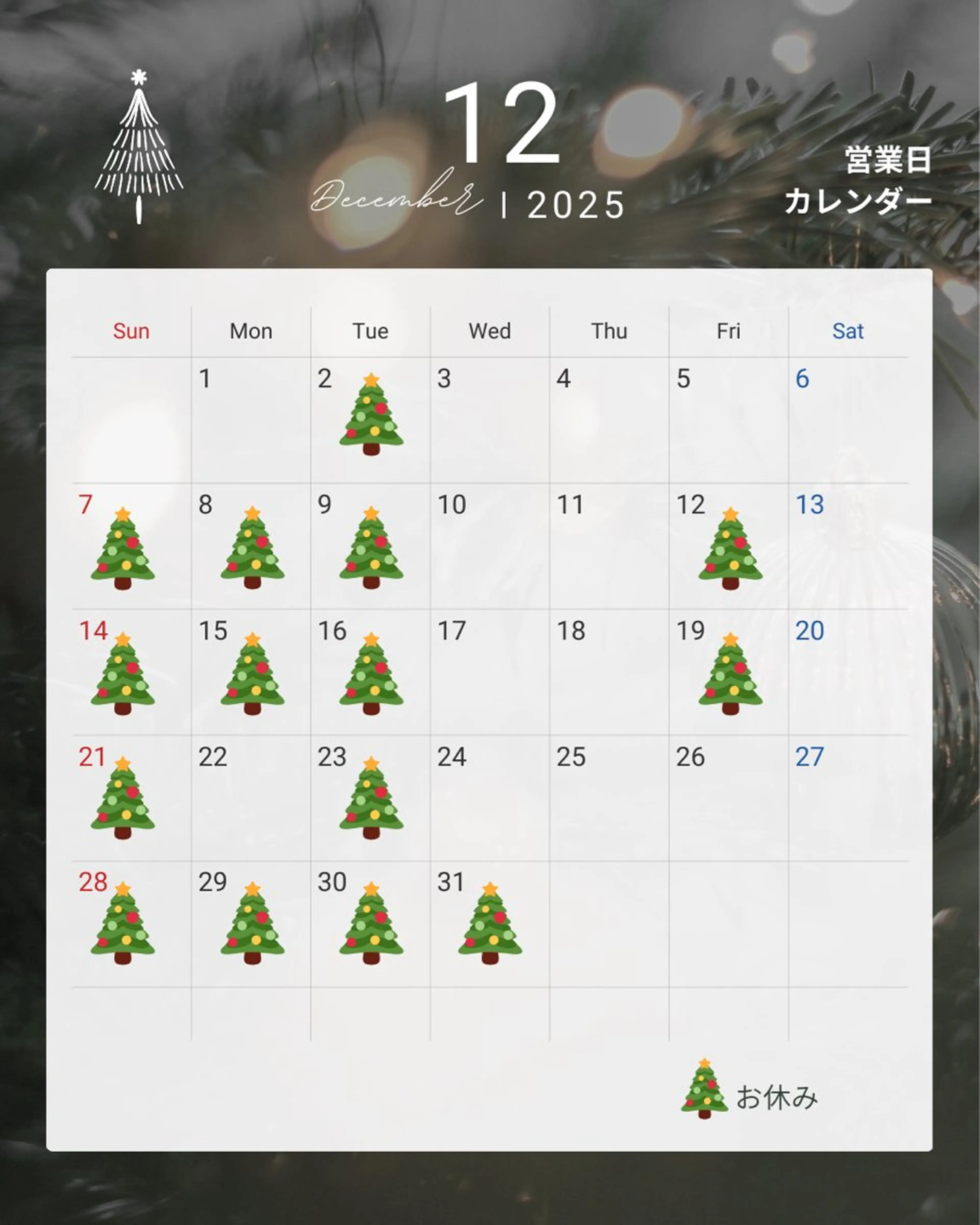 マツエク・マツパ 美容室OPTION所属・カズキ🪵 OPTIONのマツエク・マツパデザイン