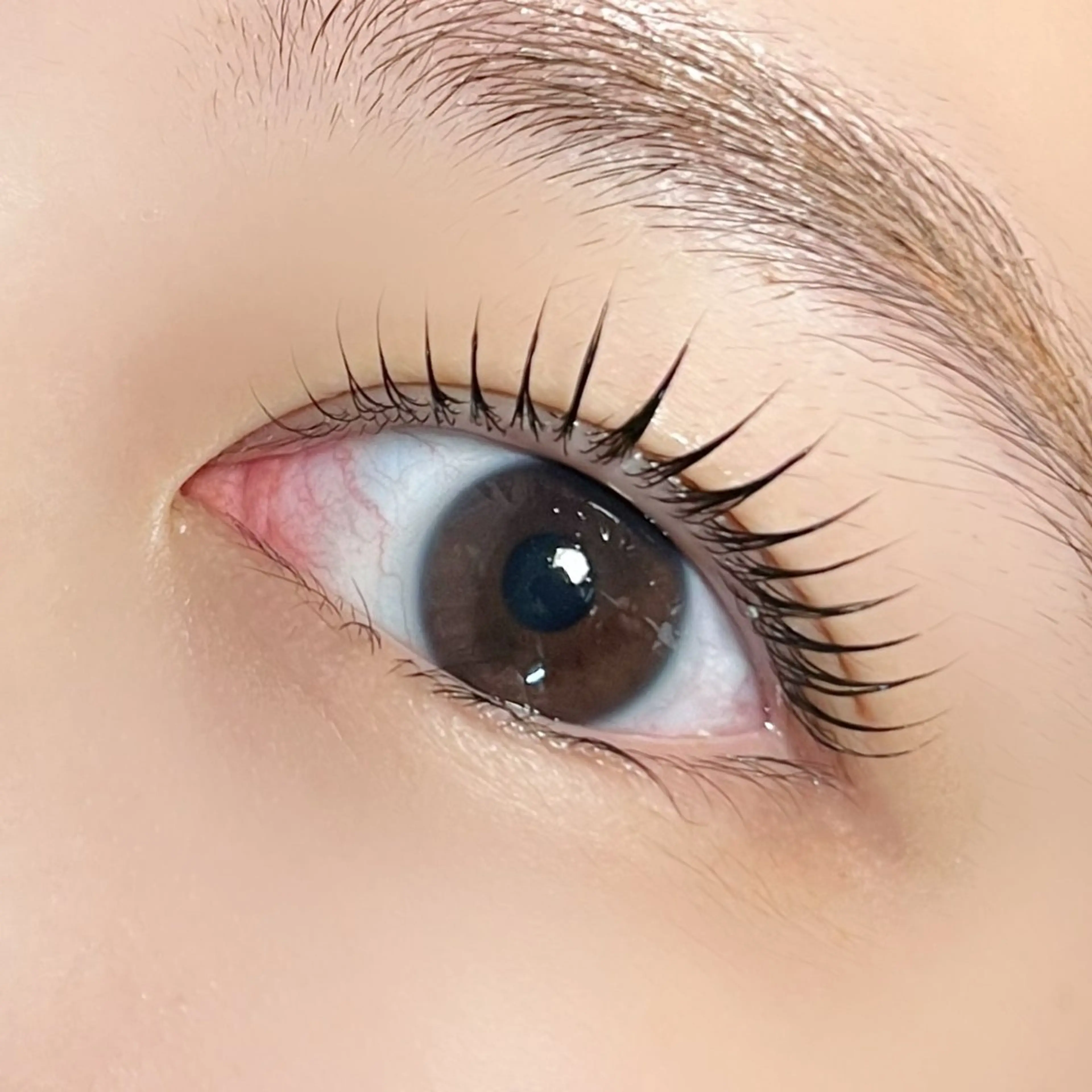 【平日ご新規様限定】形状記憶コーティングLEDコートまつ毛パーマ（土日祝、12/24以降＋¥1000)の写真