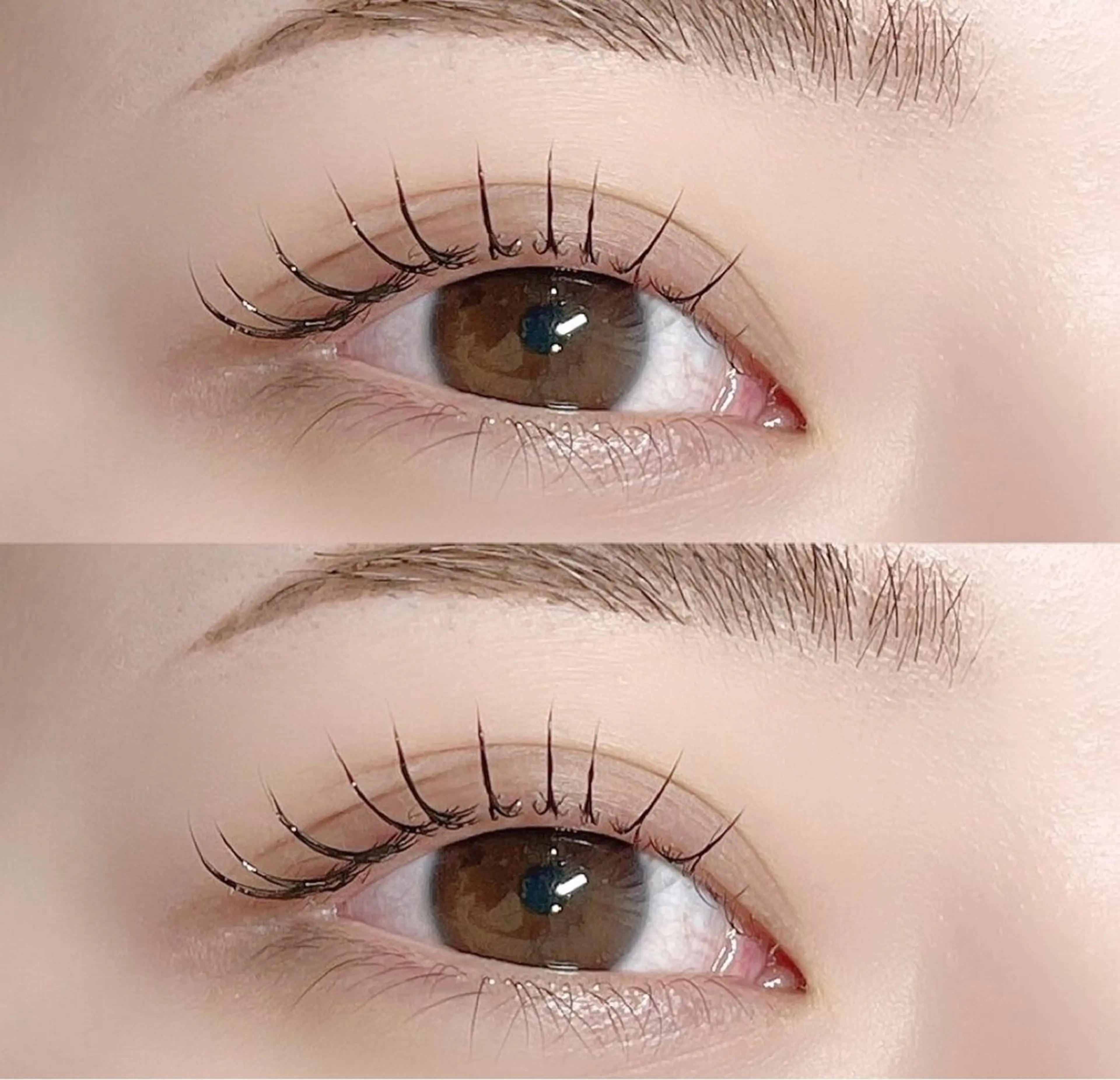 現在受付ておりません。の写真