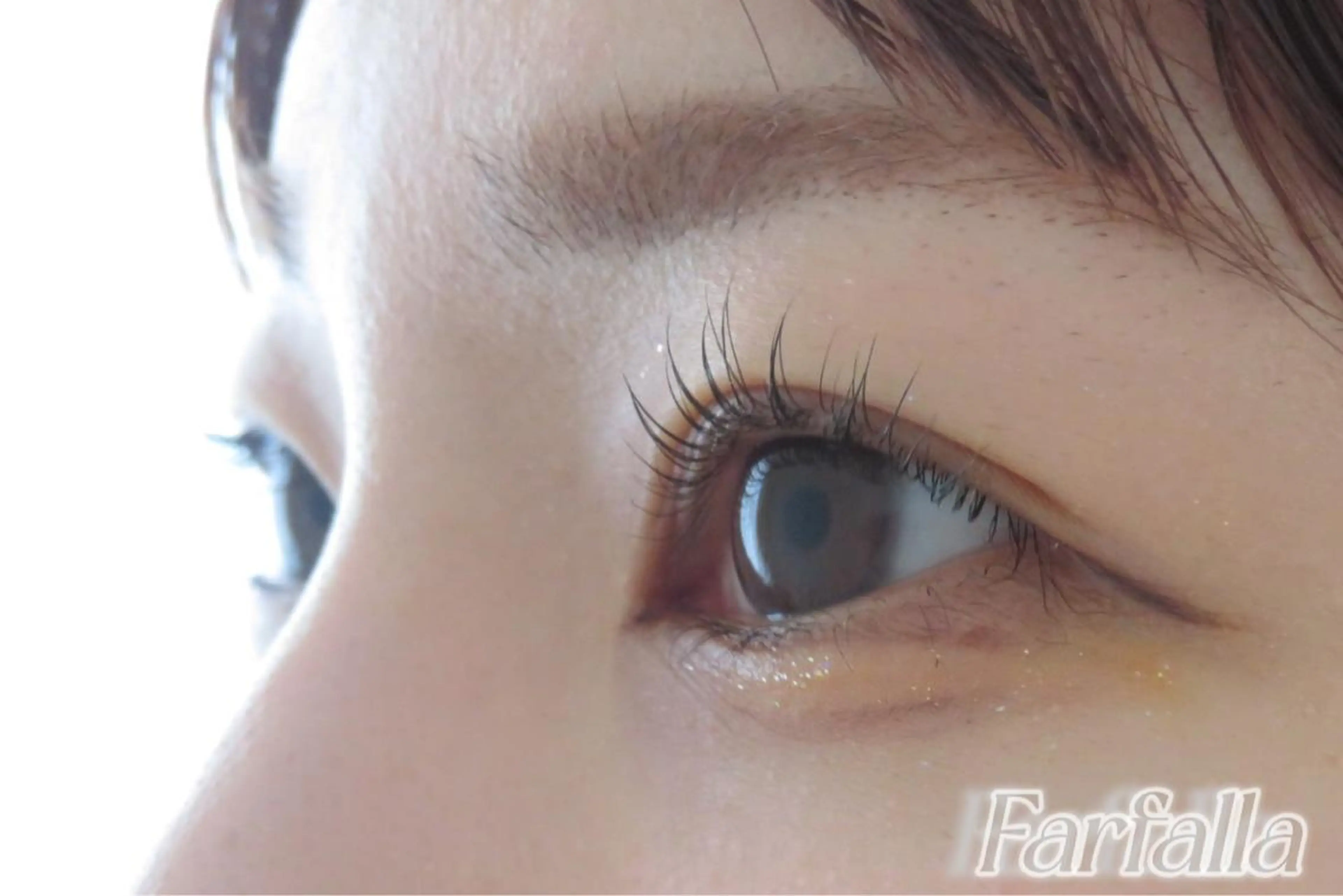 【トリートメント付】進化系プレミアム育毛ラッシュリフトの写真