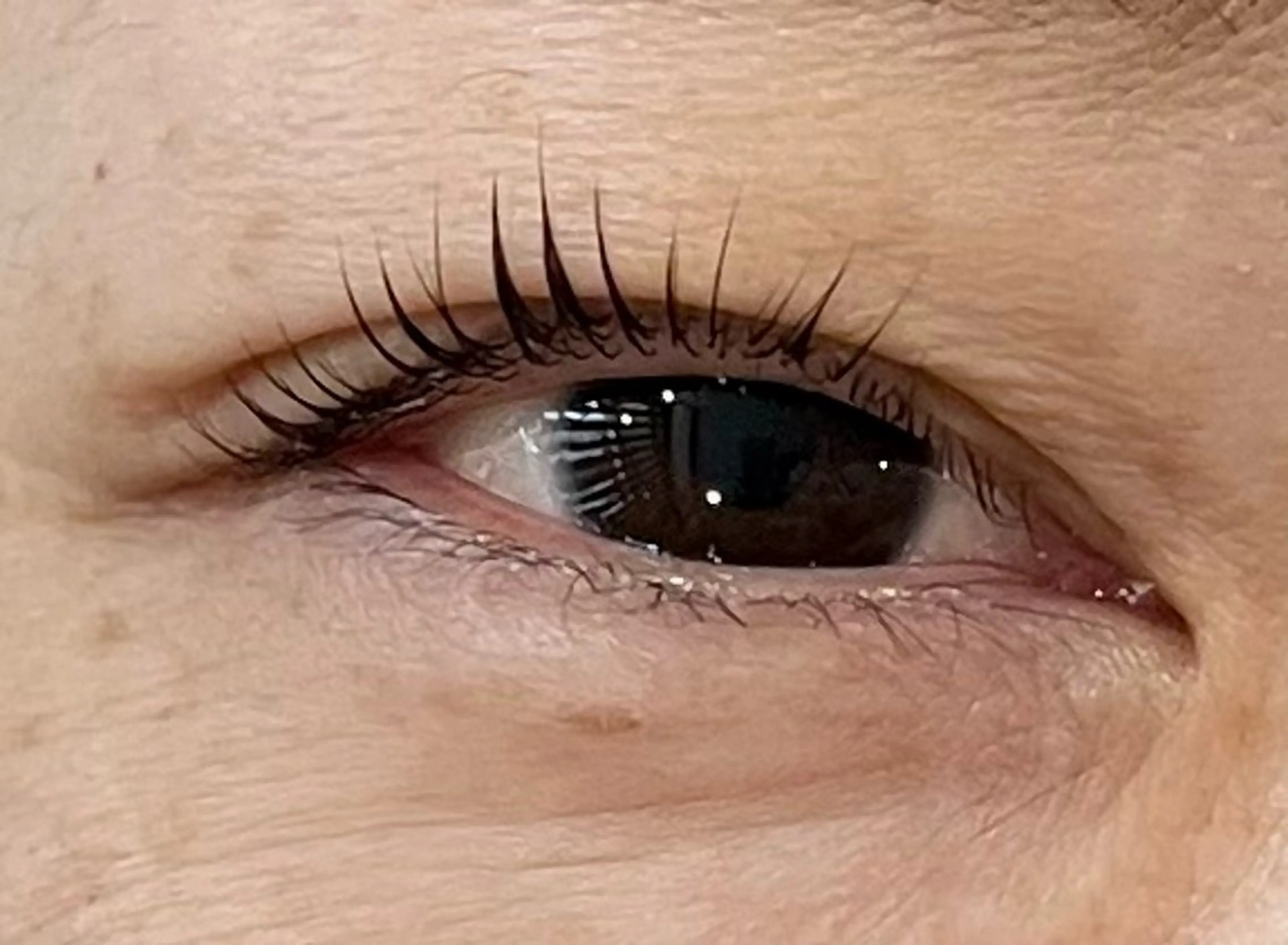 マツエク・マツパ マツパ REMIA 横須賀店所属・とうはた 🎀のマツエク・マツパデザイン