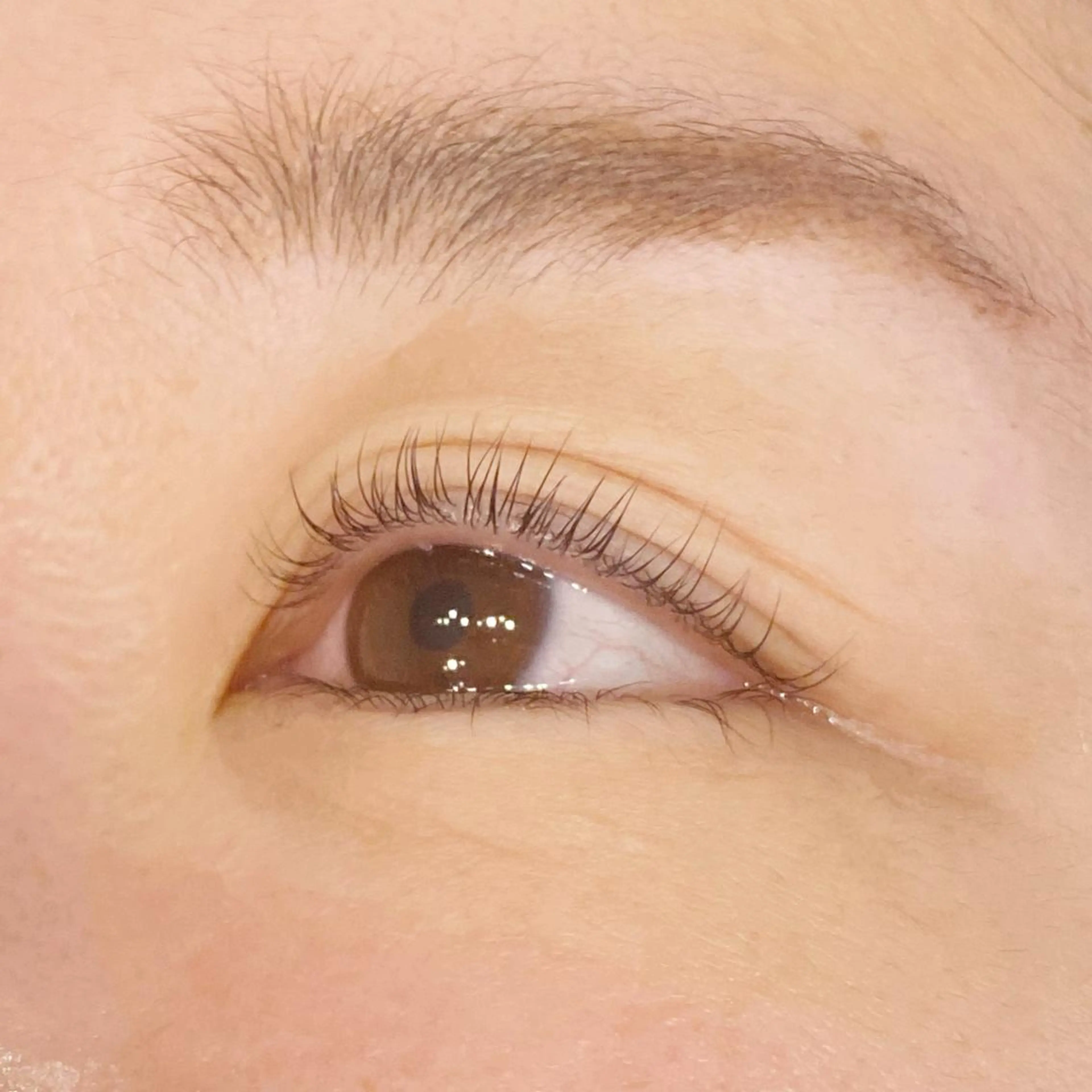 【モニターさん募集♪】コーティング付き🌿次世代まつげパーマの写真