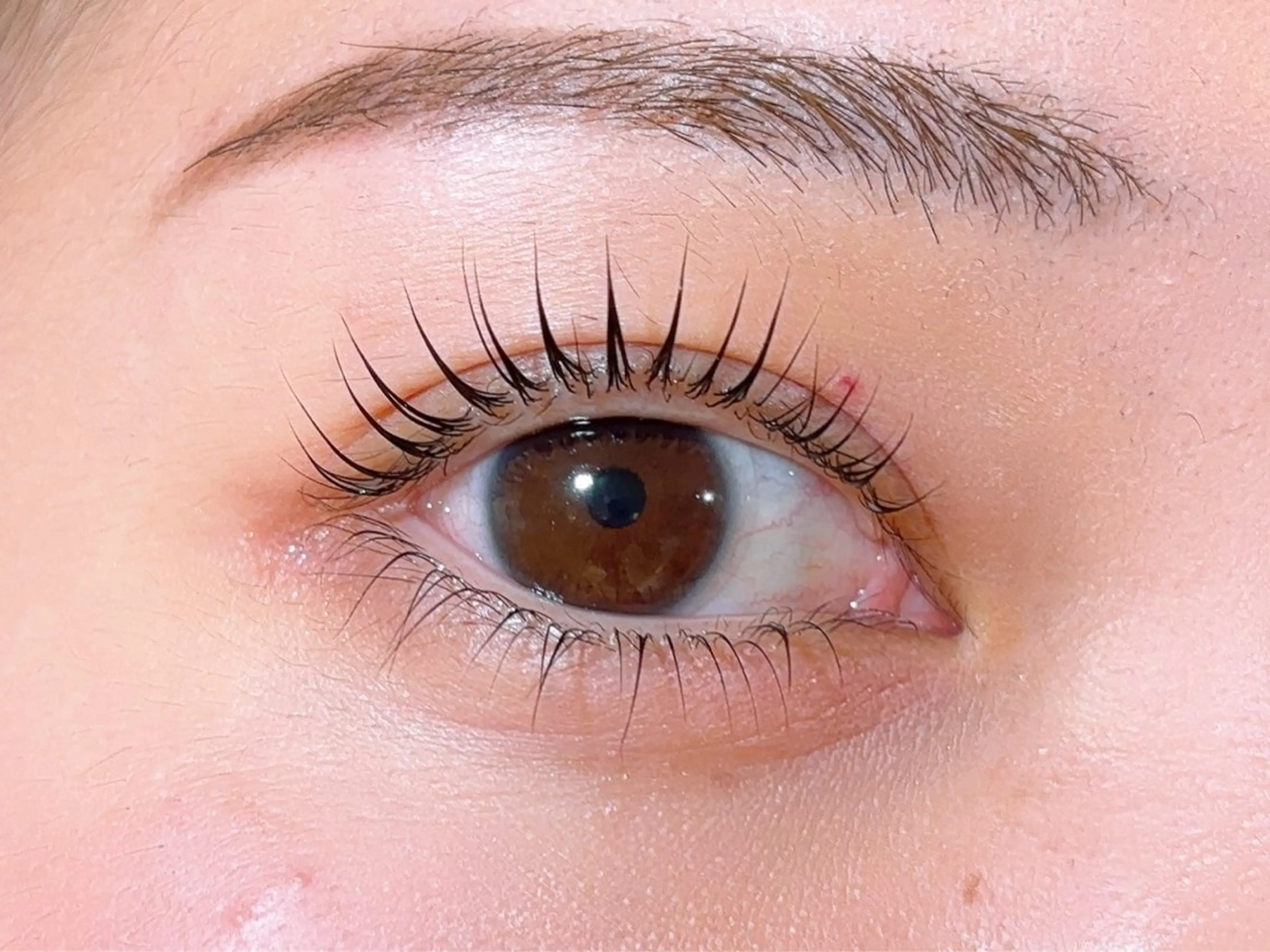 上下パリジェンヌ♥10,600円→5,500円♥の写真