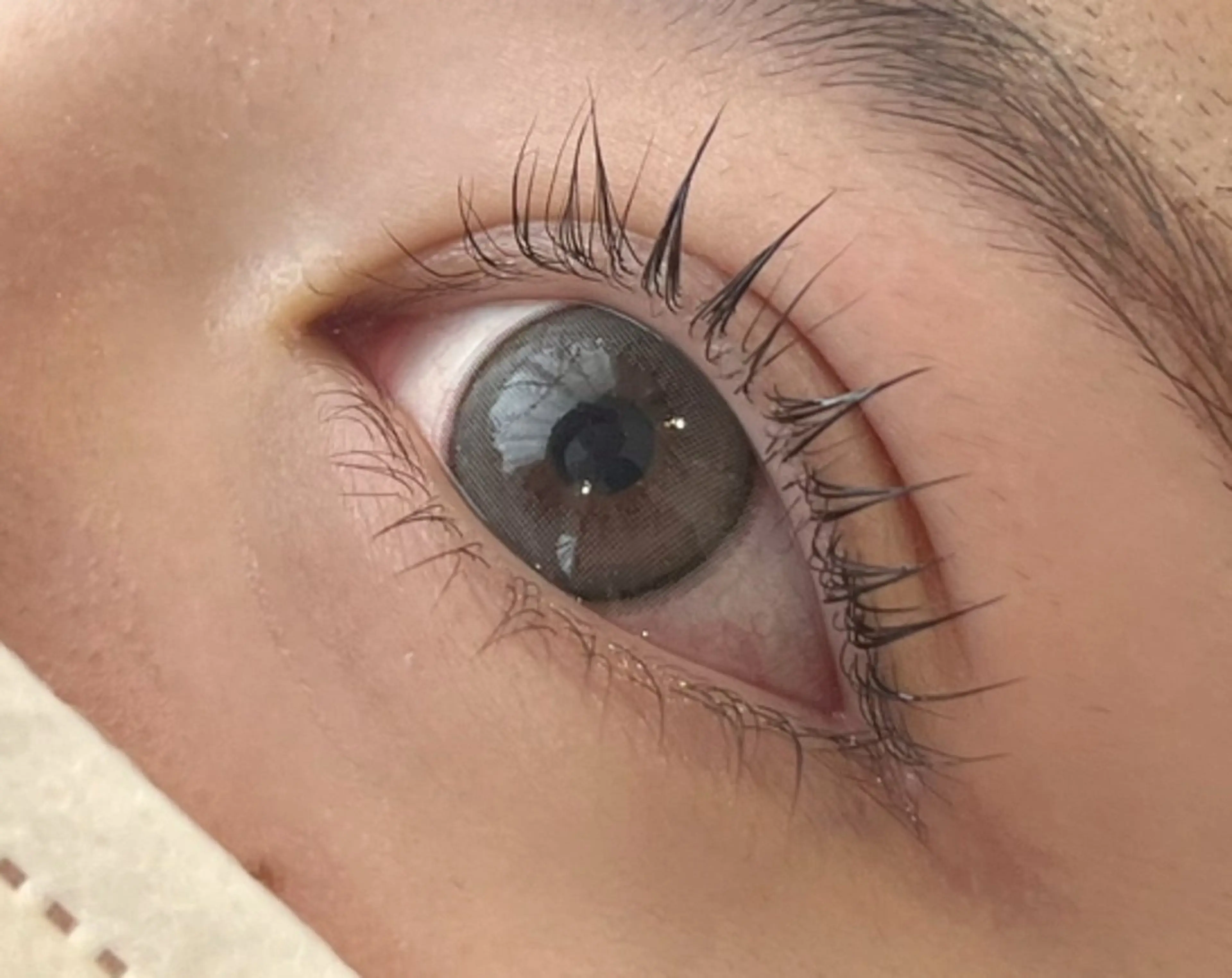 マツエク・マツパ 一重×まつ毛パーマ Kashi 🎀の眉毛・アイブロウイメージ