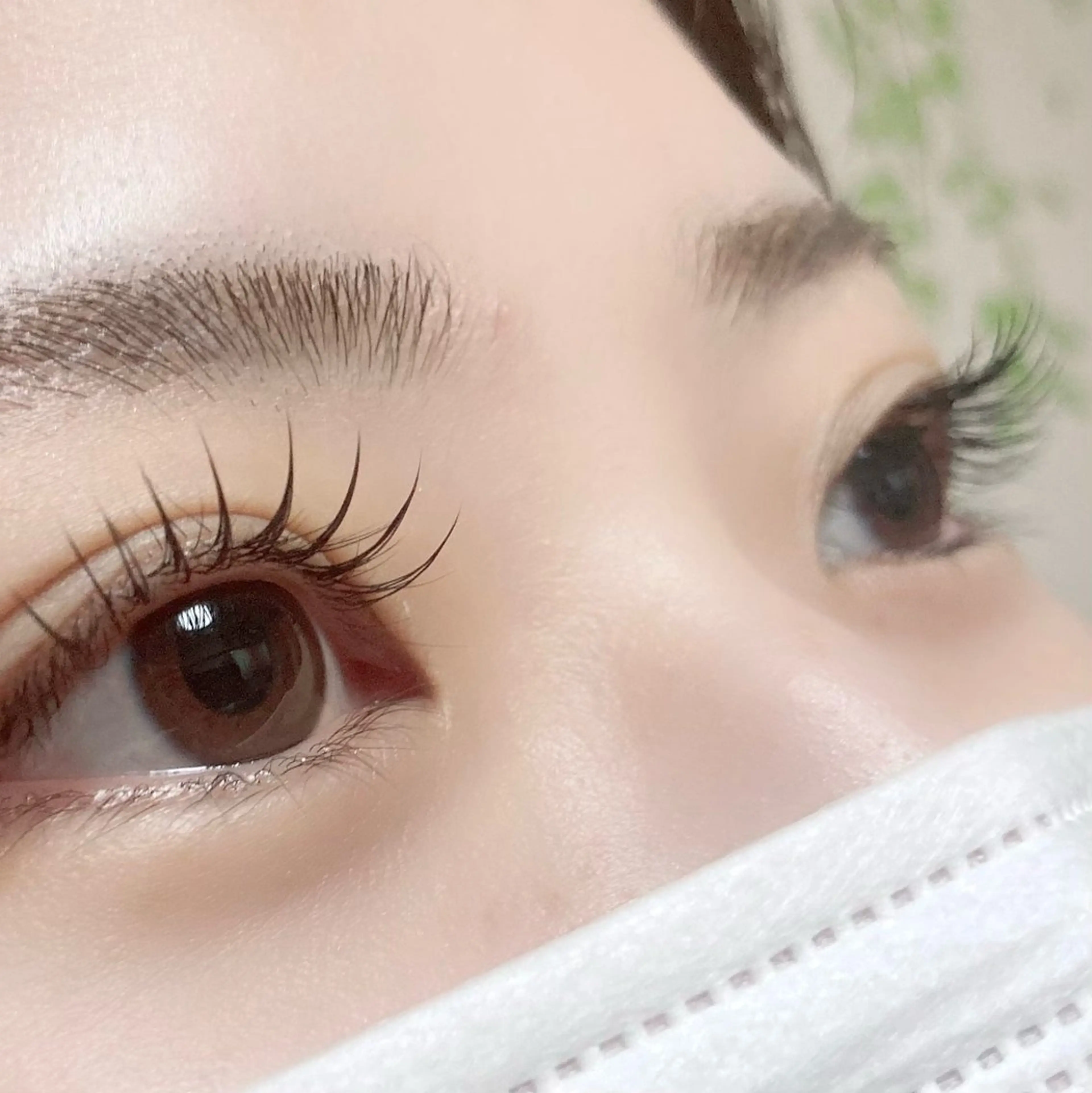 マツエク・マツパ 束感まつ毛 マツエク Hase　本八幡 🧸マツエク専門🧸のマツエク・マツパデザイン