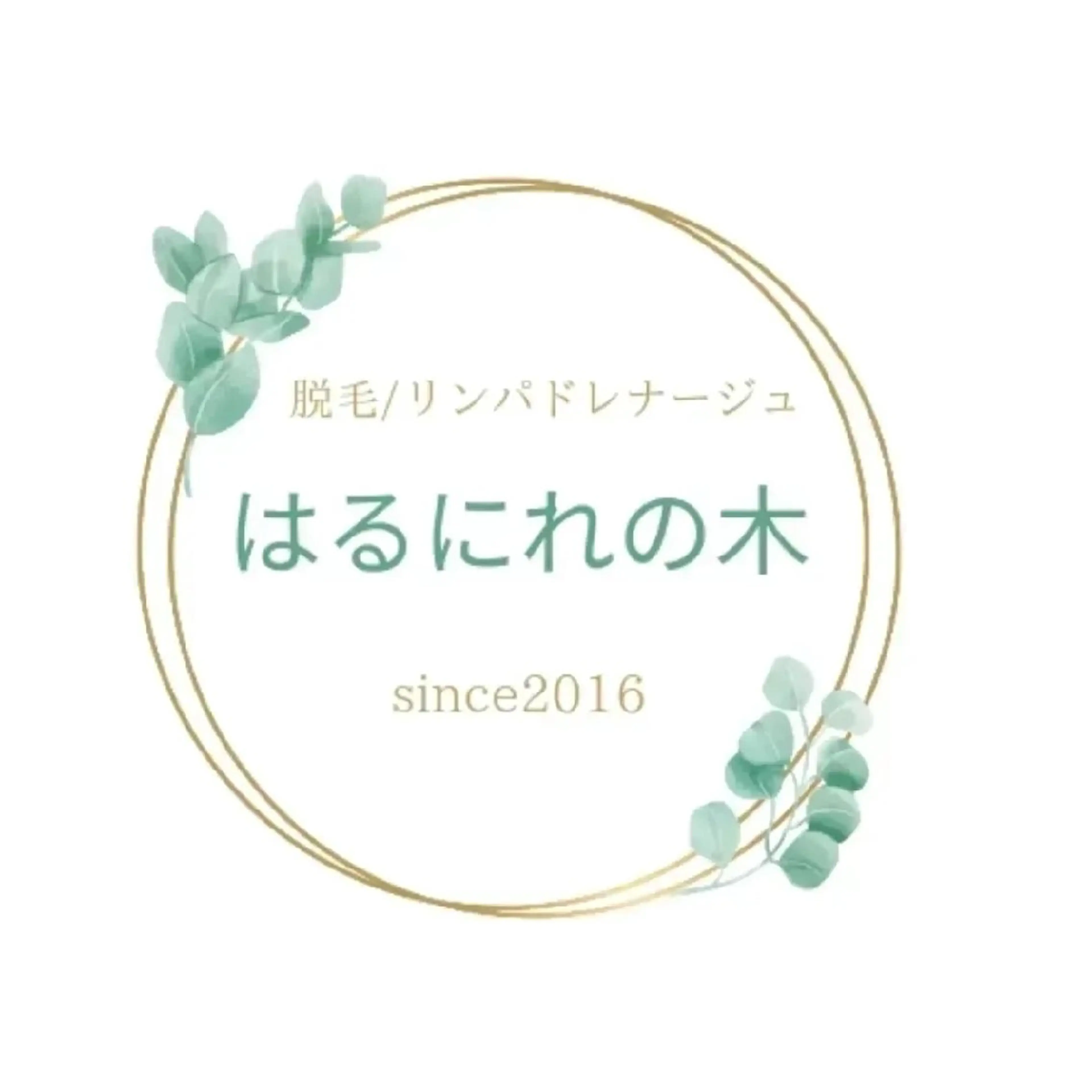 ♡minimo限定価格♡両ワキ脱毛の写真