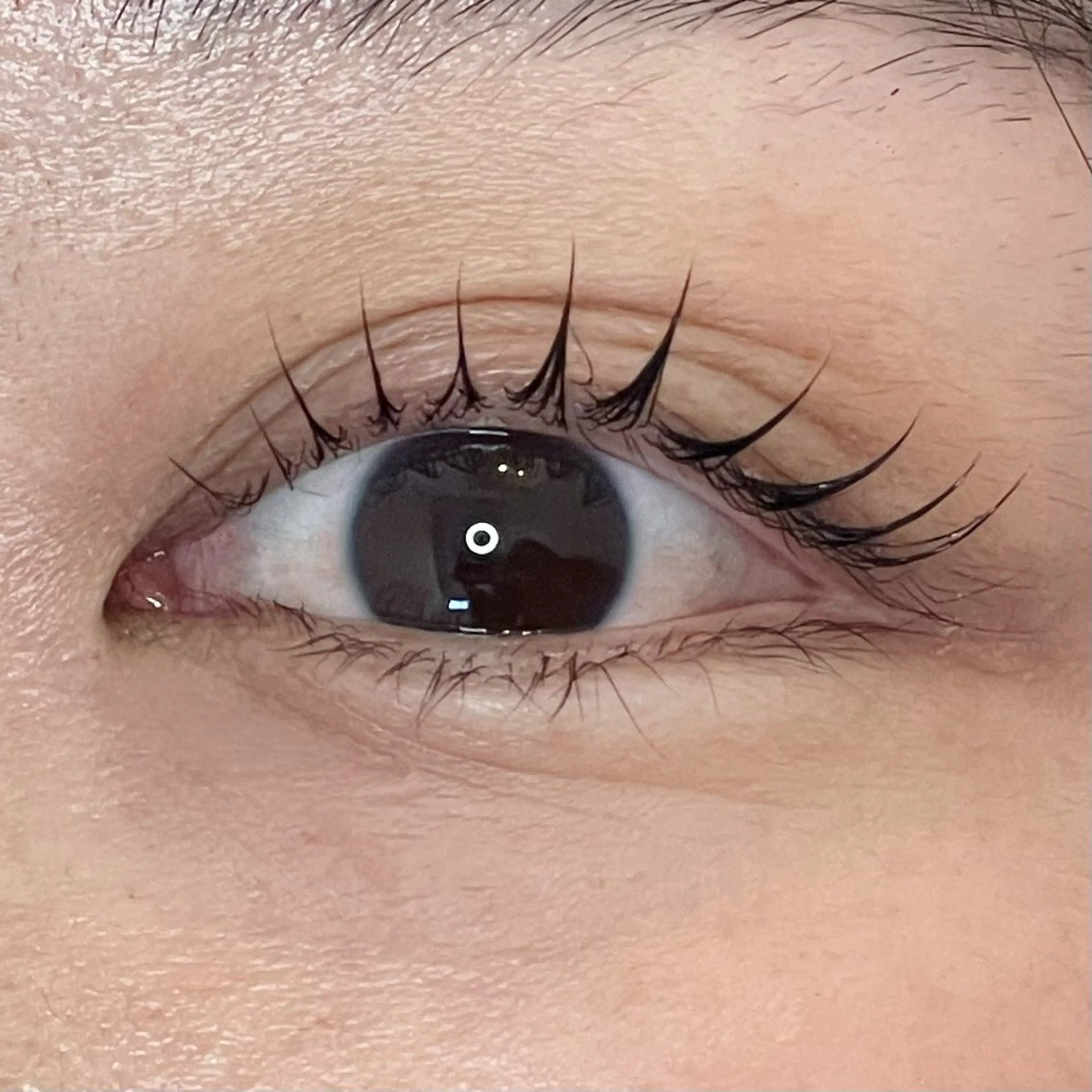 マツエク・マツパ EYELA亀田店 田高のマツエク・マツパデザイン