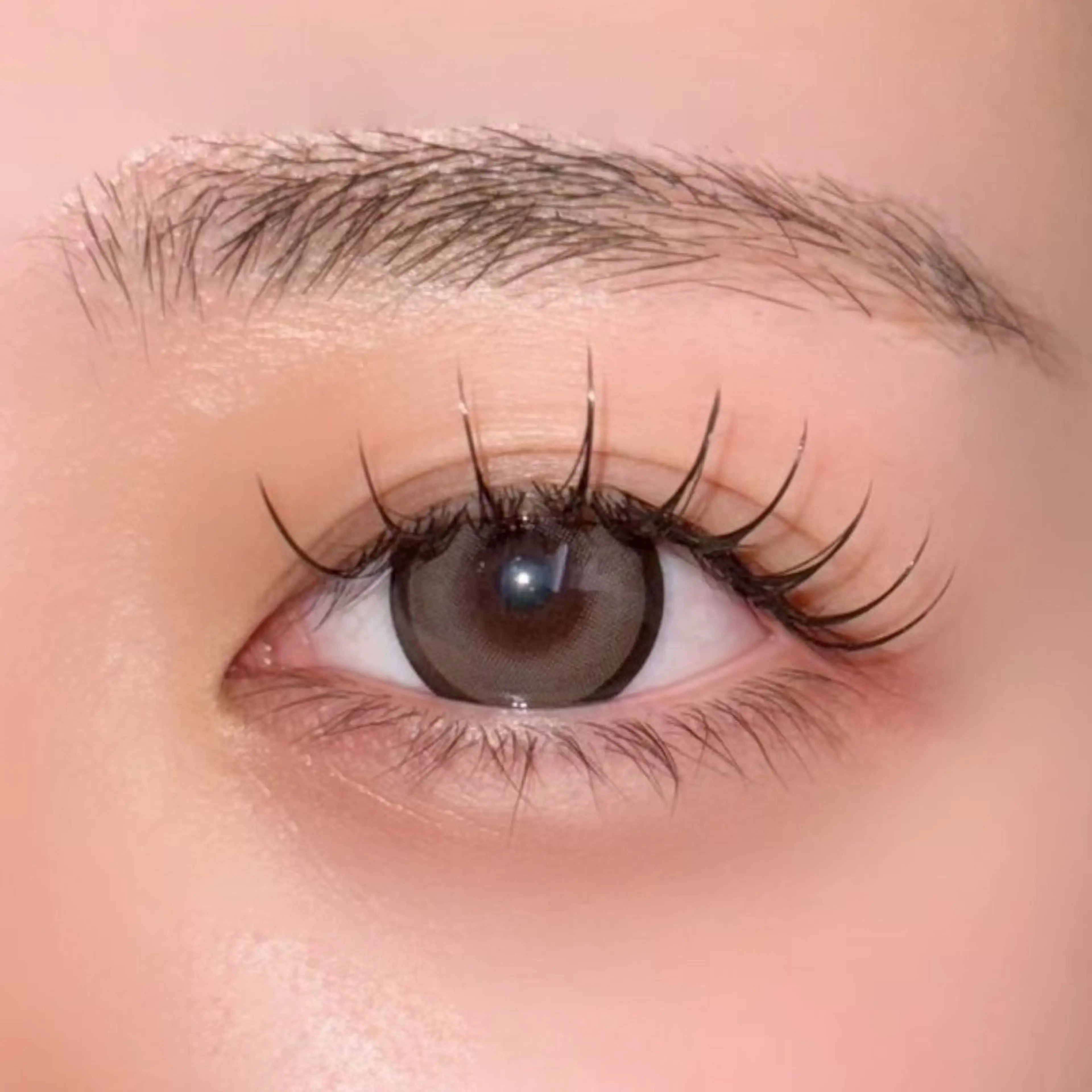 マツエク・マツパ 【束感まつ毛】 🐶Syunya🐶のマツエク・マツパデザイン