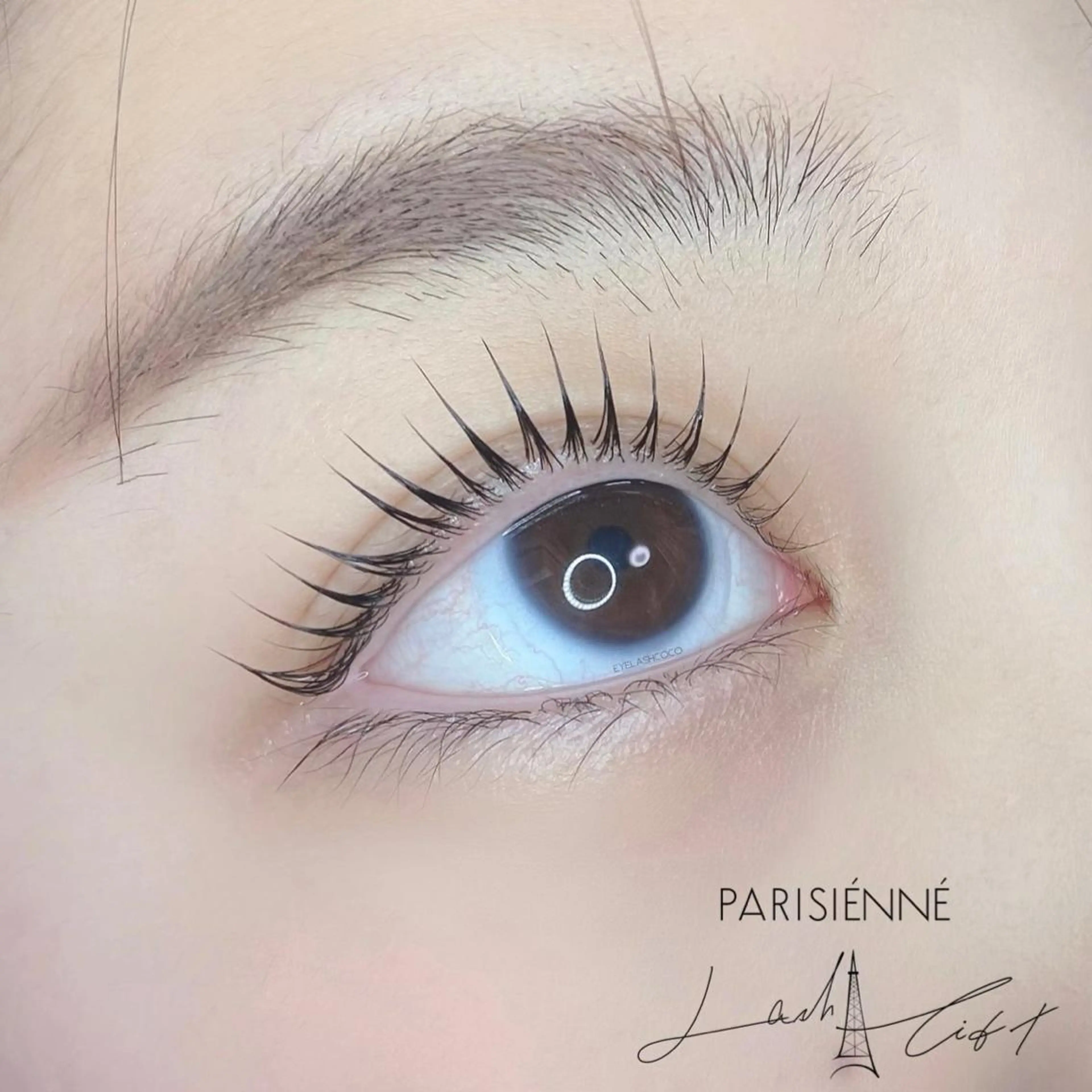 マツエク・マツパ マツパ EYELASH COCO所属・EYELASH COCOのマツエク・マツパデザイン