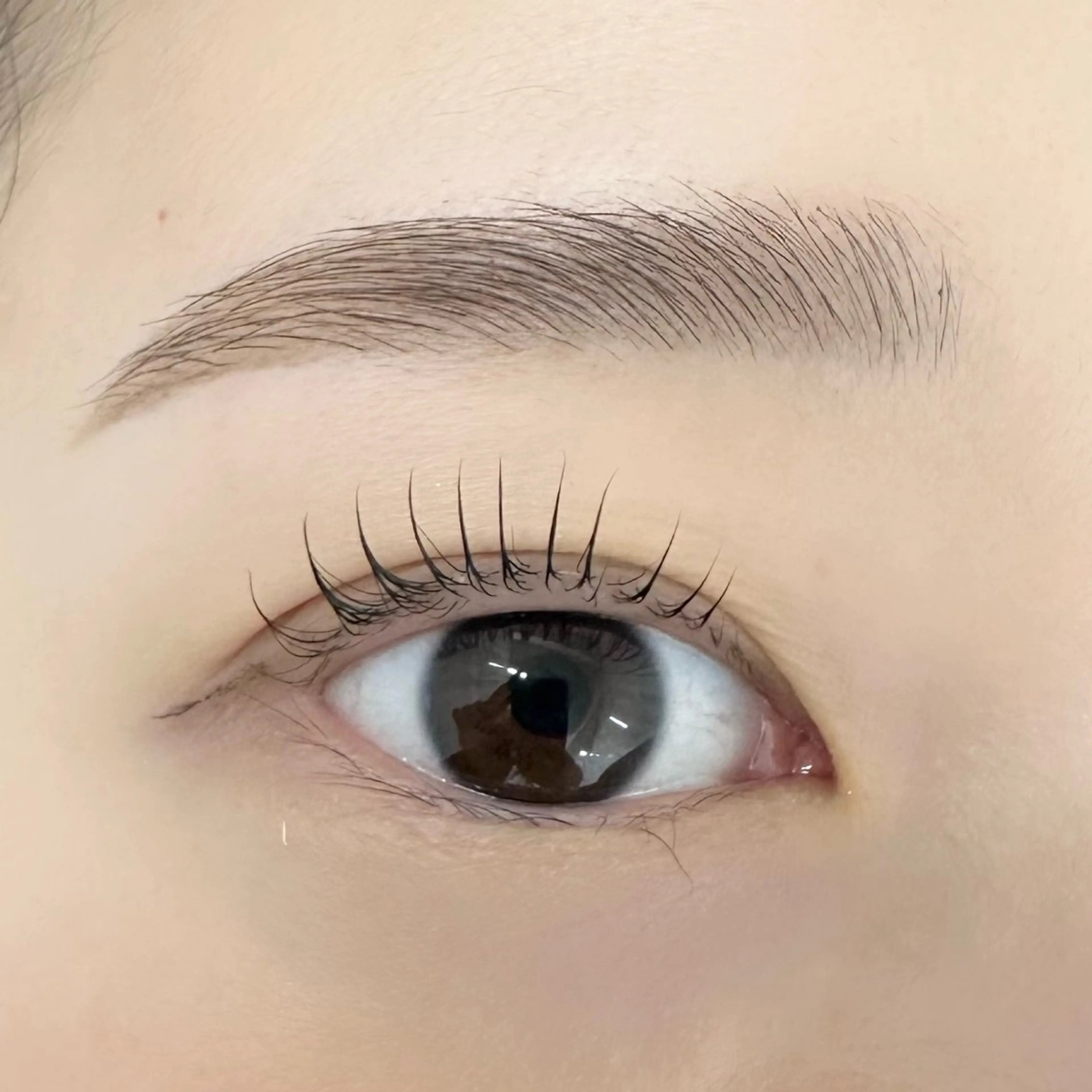 《平日限定》パリジェンヌor選べるまつ毛パーマ+美眉アイブロウWax +間引きの写真