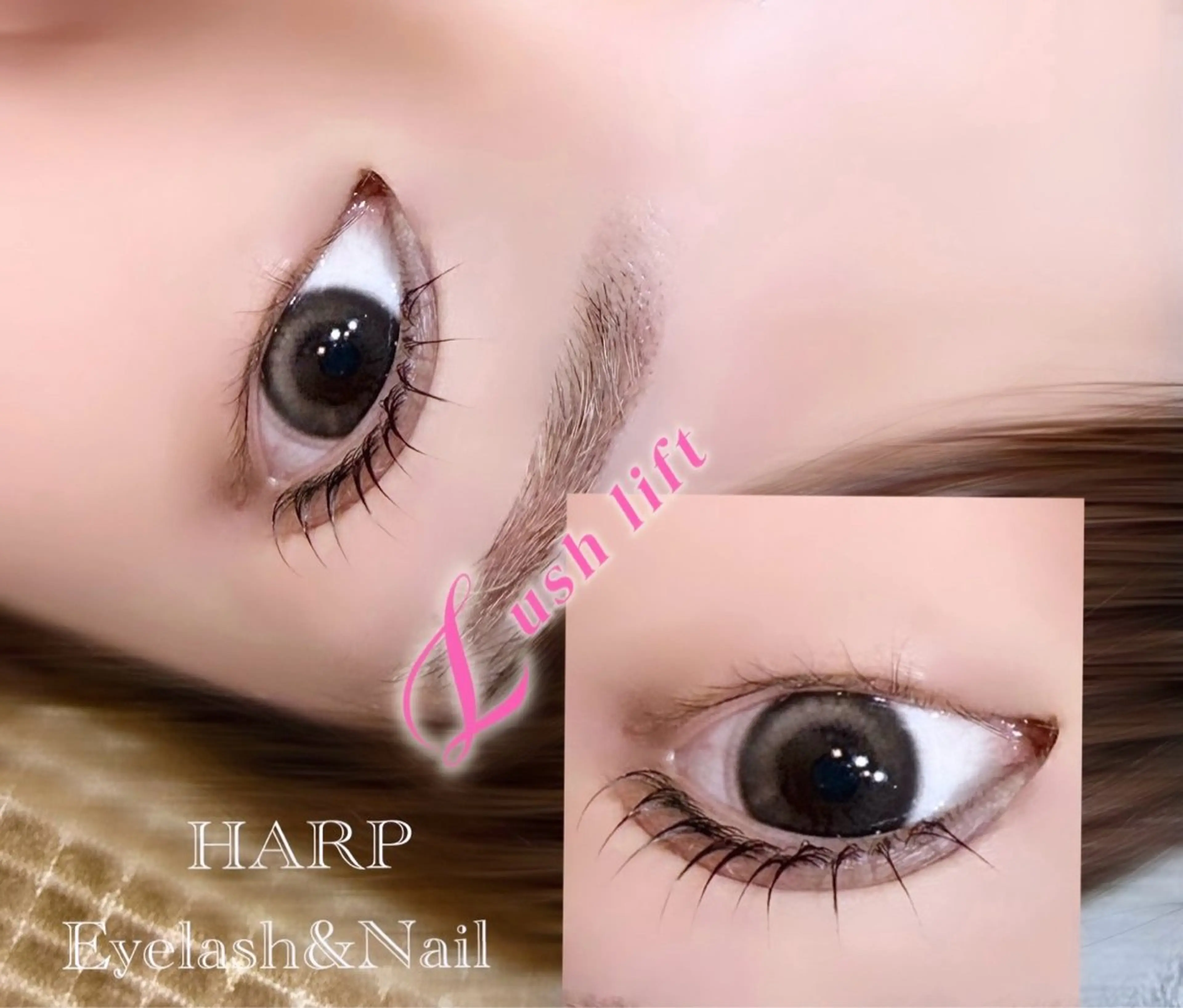 ãããšã¯ã»ããã â¡ððâ¡ ææãŸã€æ¯ / çäžžã®ãããšã¯ã»ããããã¶ã€ã³