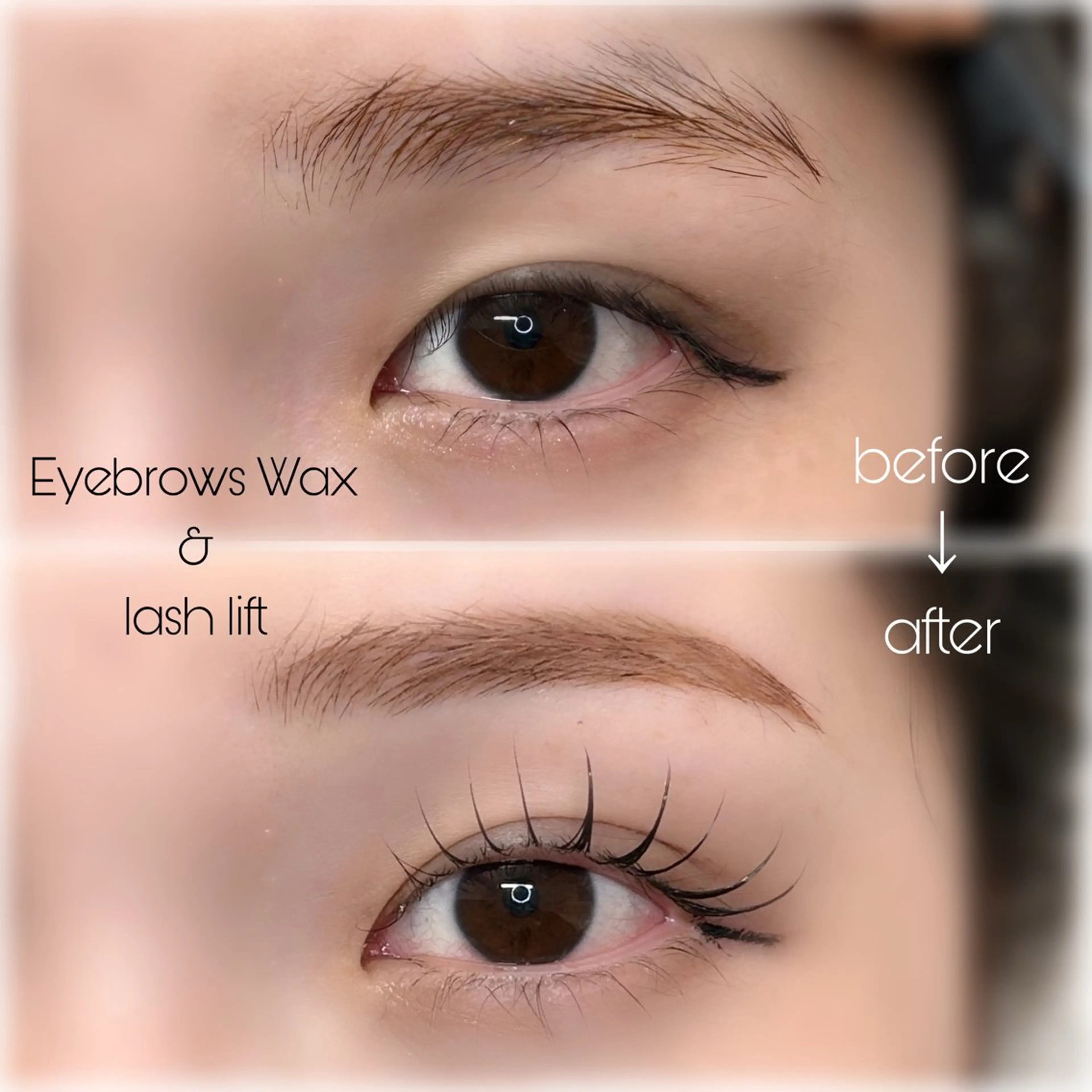 【🇫🇷パリジェンヌorラッシュリフト➕Eyebrows wax🤎】の写真