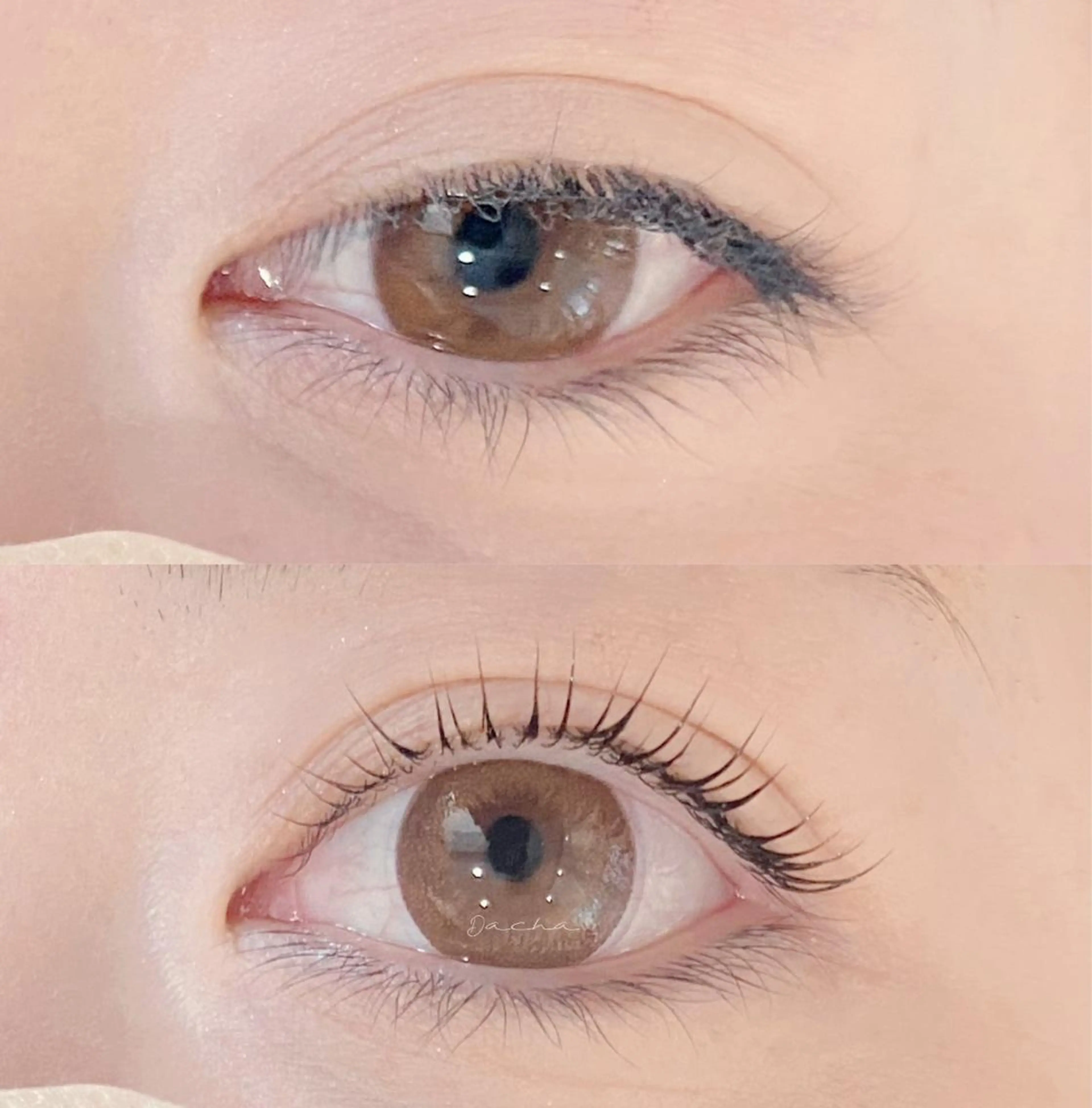 マツエク・マツパ Dacha まつ毛屋さんのマツエク・マツパデザイン