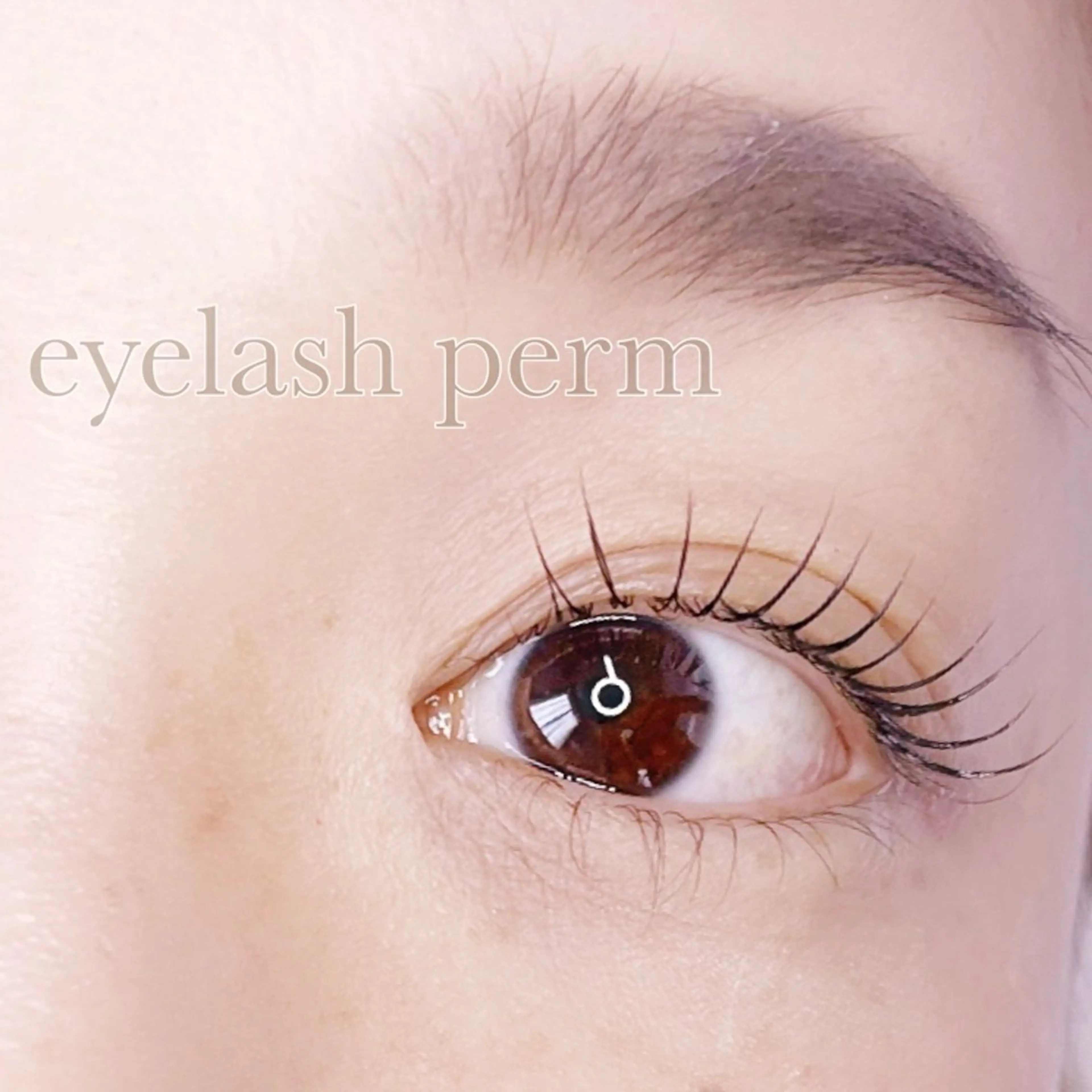 まつ毛パーマ ラッシュリフトの写真