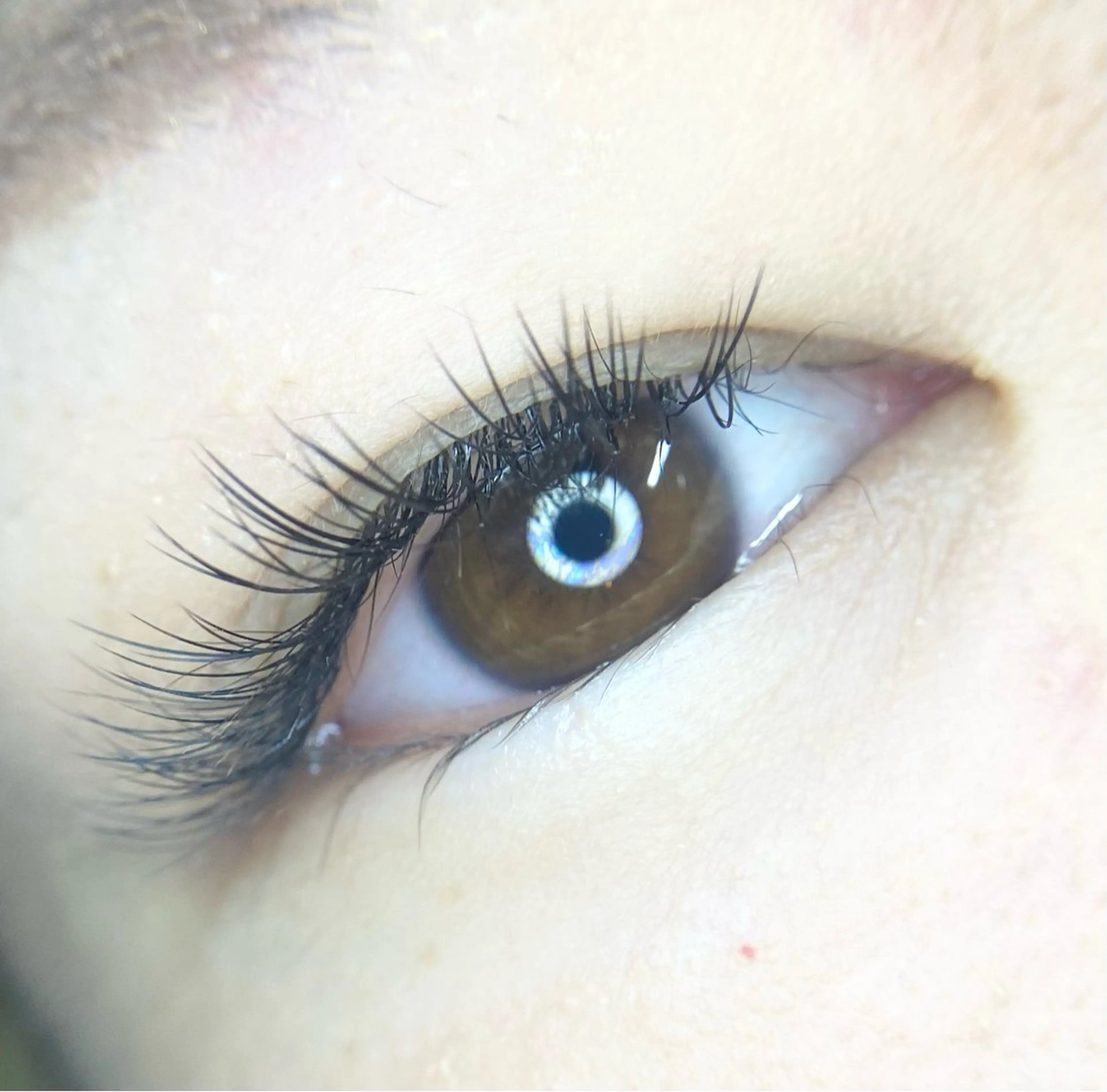 マツエク・マツパ LEDエクステ専門店 Fedis 京橋のマツエク・マツパデザイン