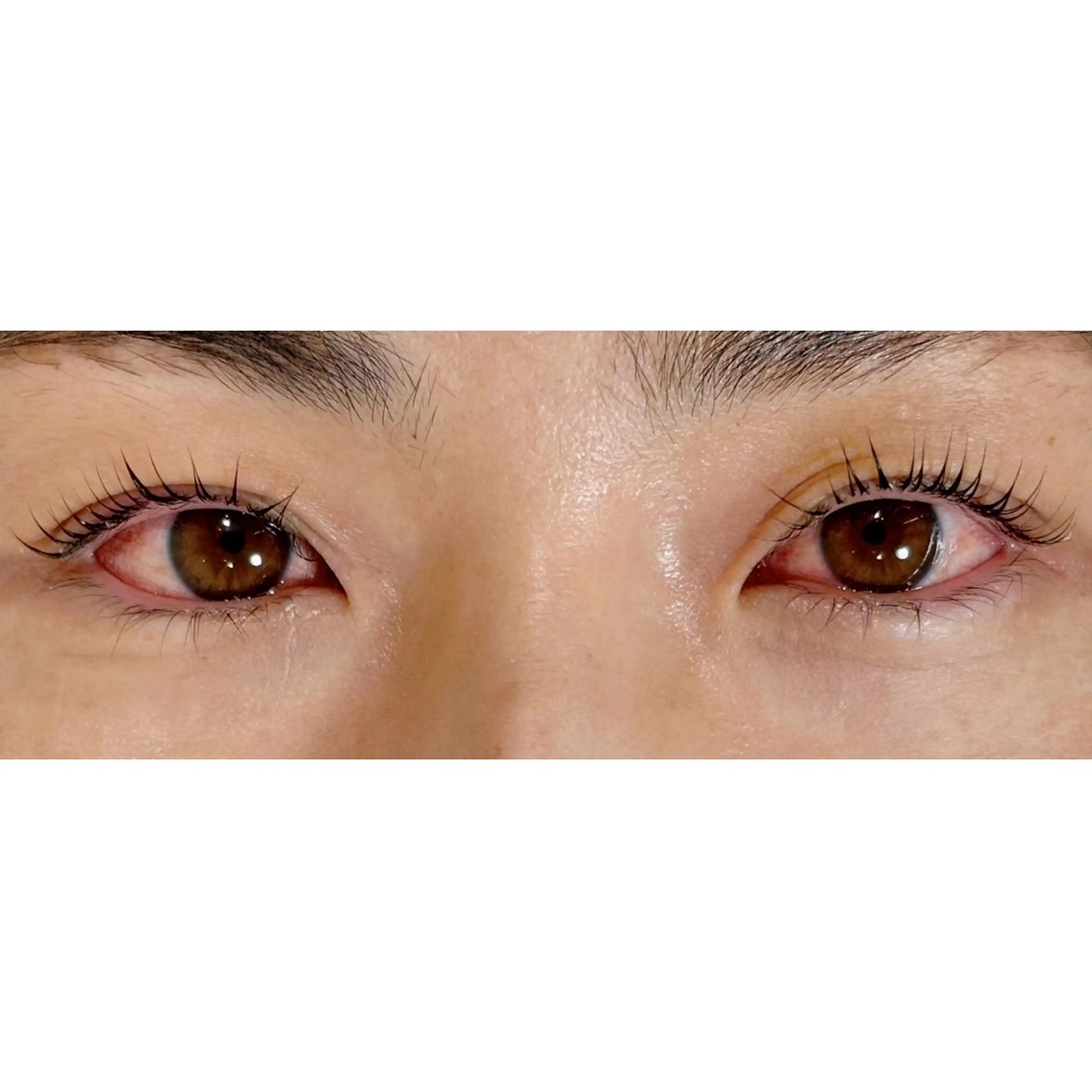 マツエク・マツパ あべ⠀しほ * 無料モデル募集中の眉毛・アイブロウイメージ