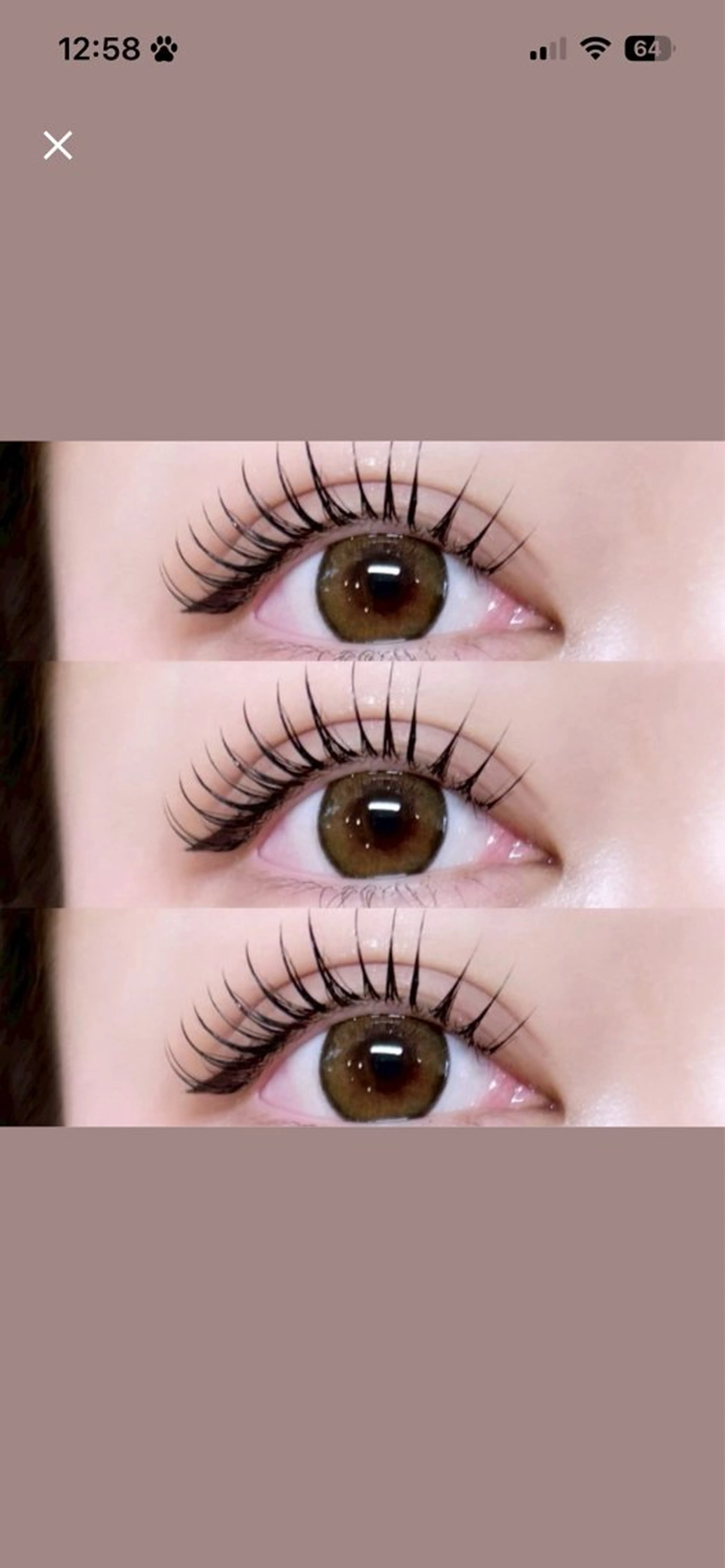 【12月価格】🩶パリジェンヌラッシュリフト🩶の写真