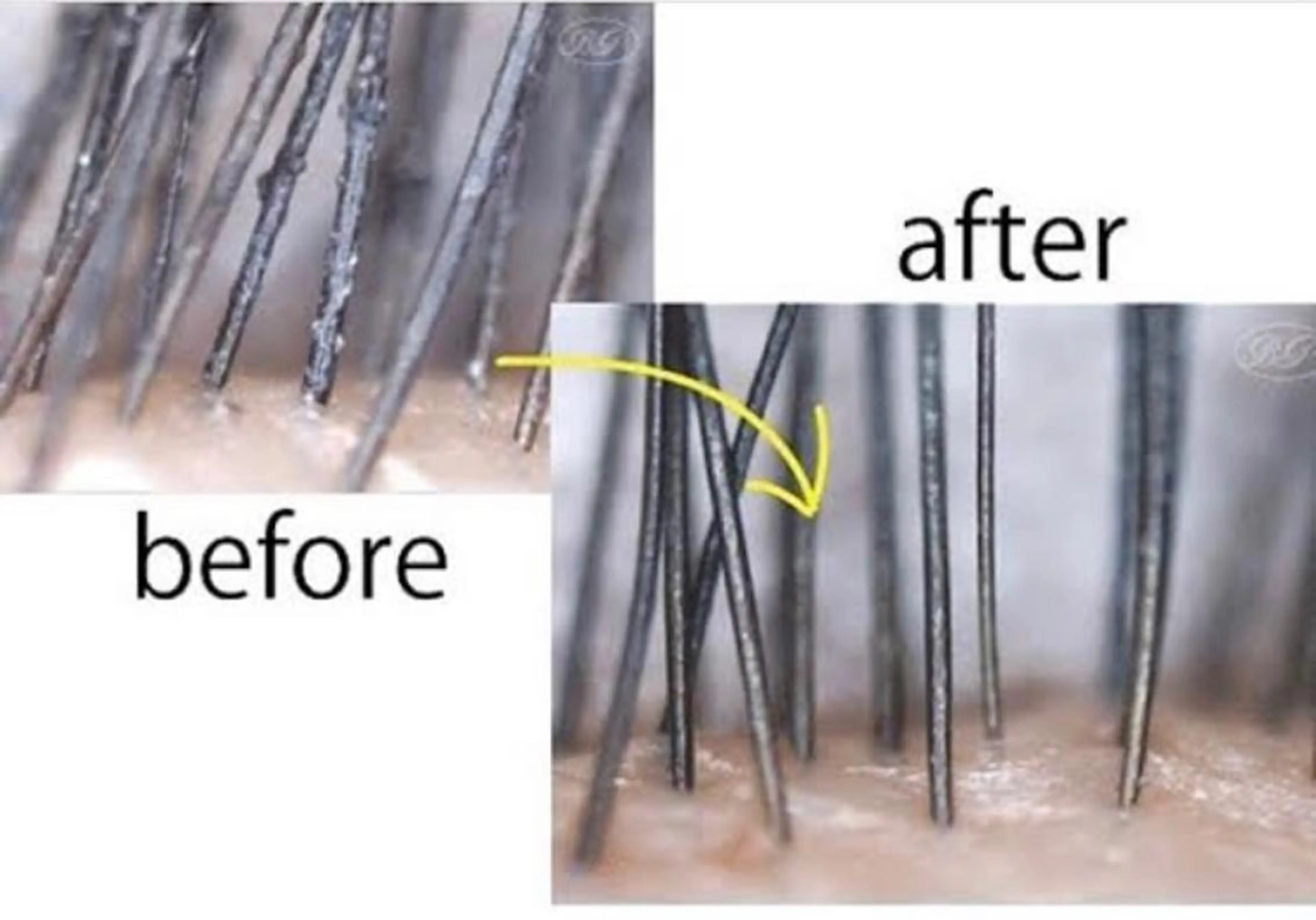 アイスパシャンプー🎀パーマの持続アップに🎀の写真