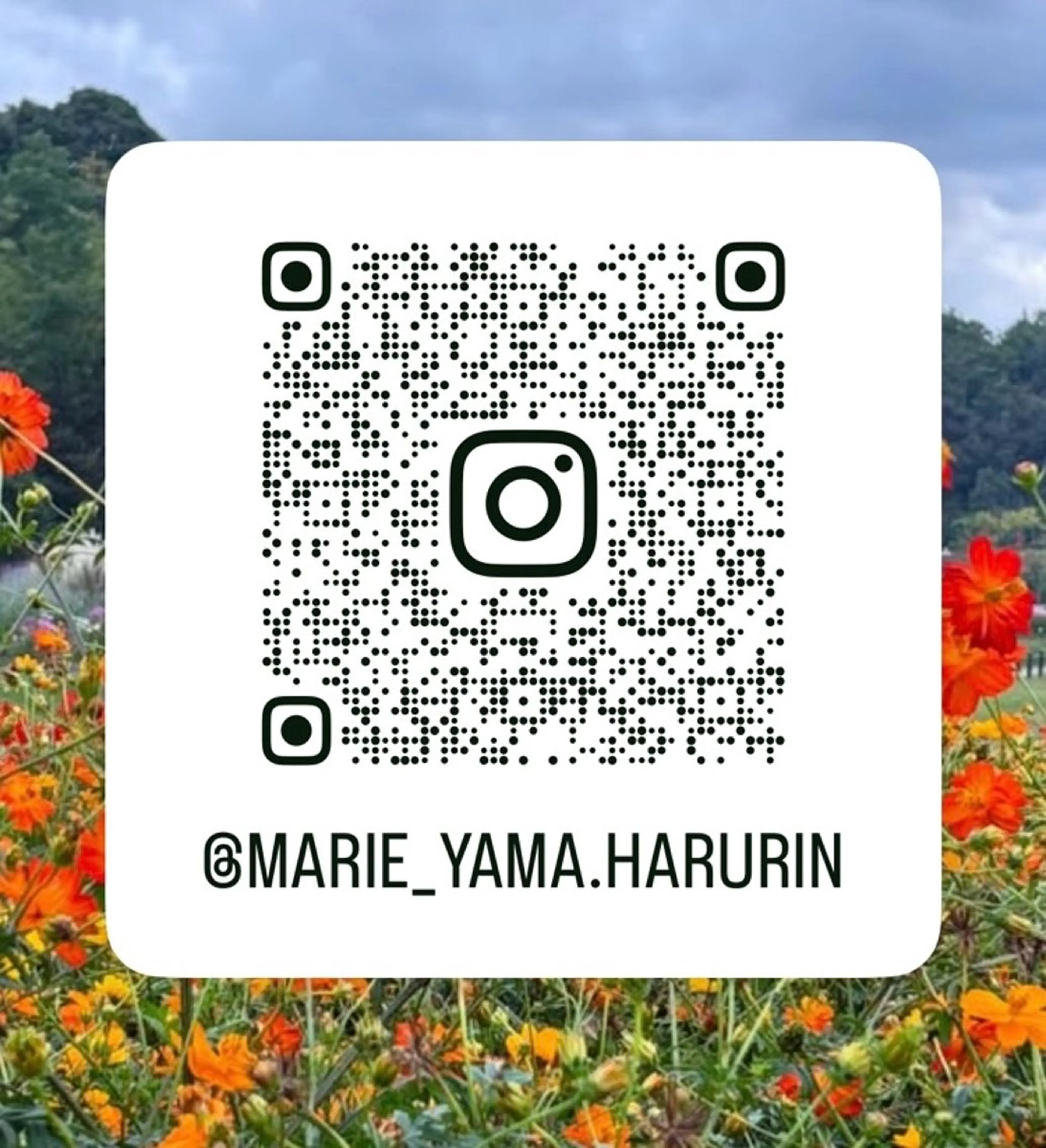 山田 知佳のヘアスタイル