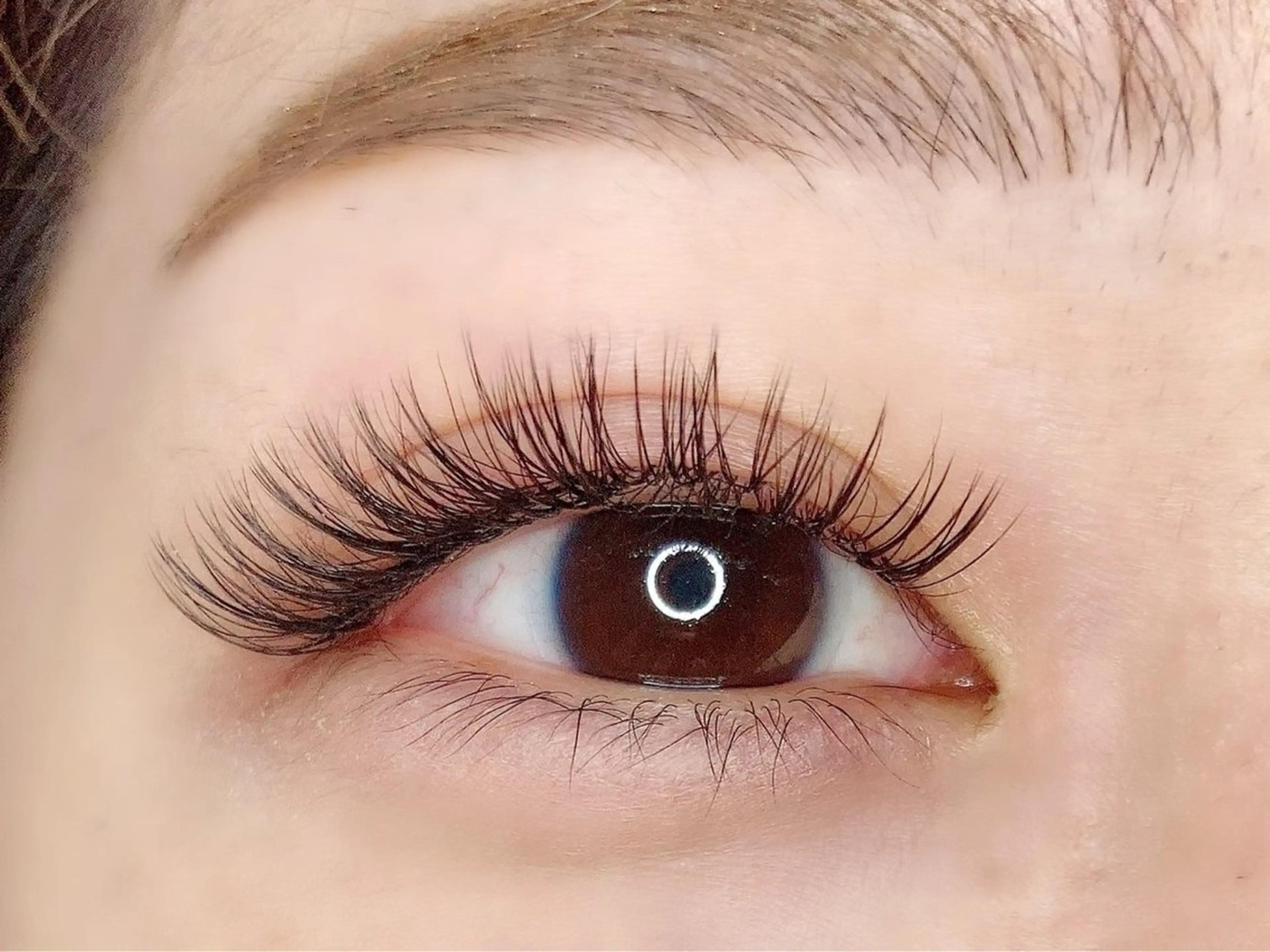 🤍＆healthy  120本の写真