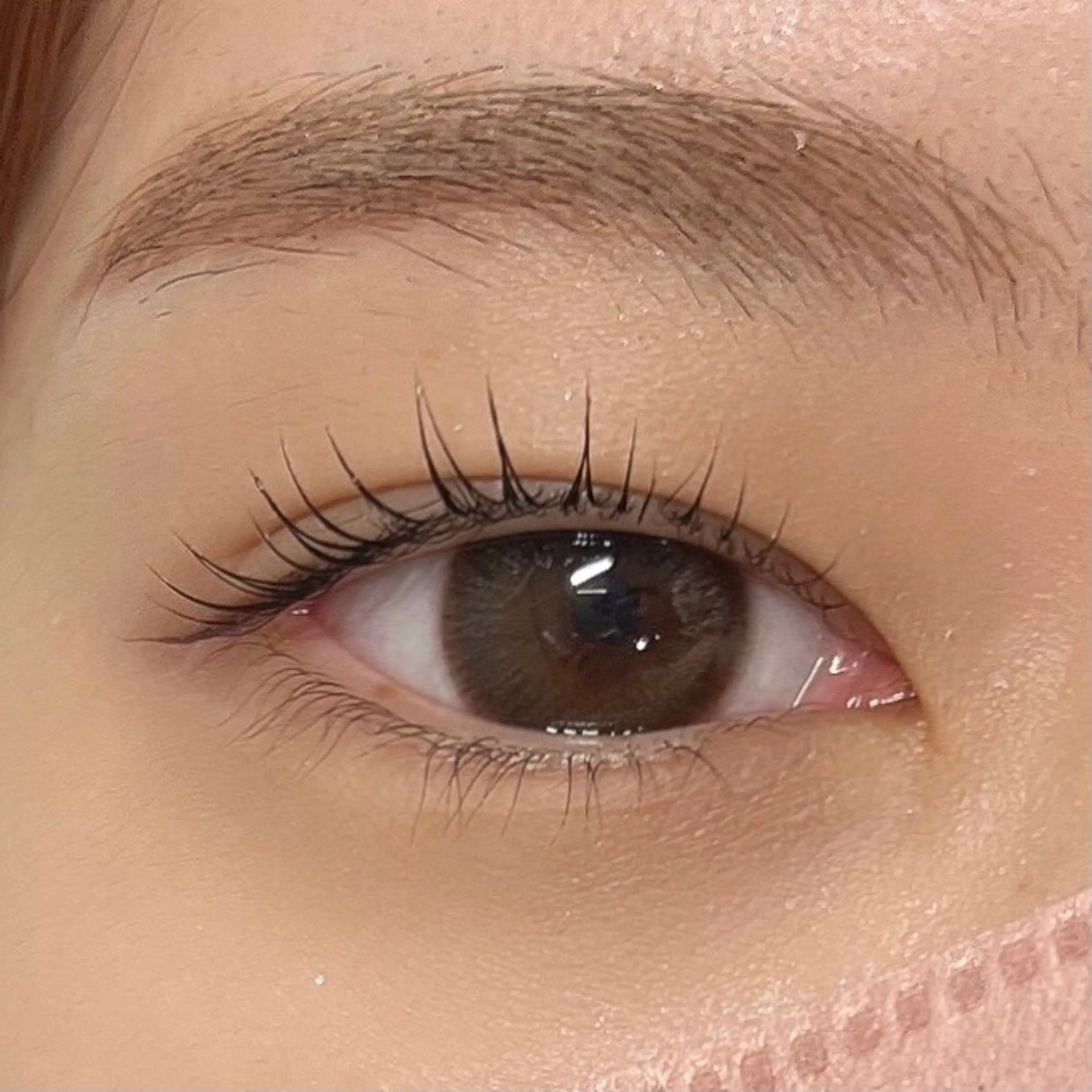 マツエク・マツパ lemmy staffのマツエク・マツパデザイン