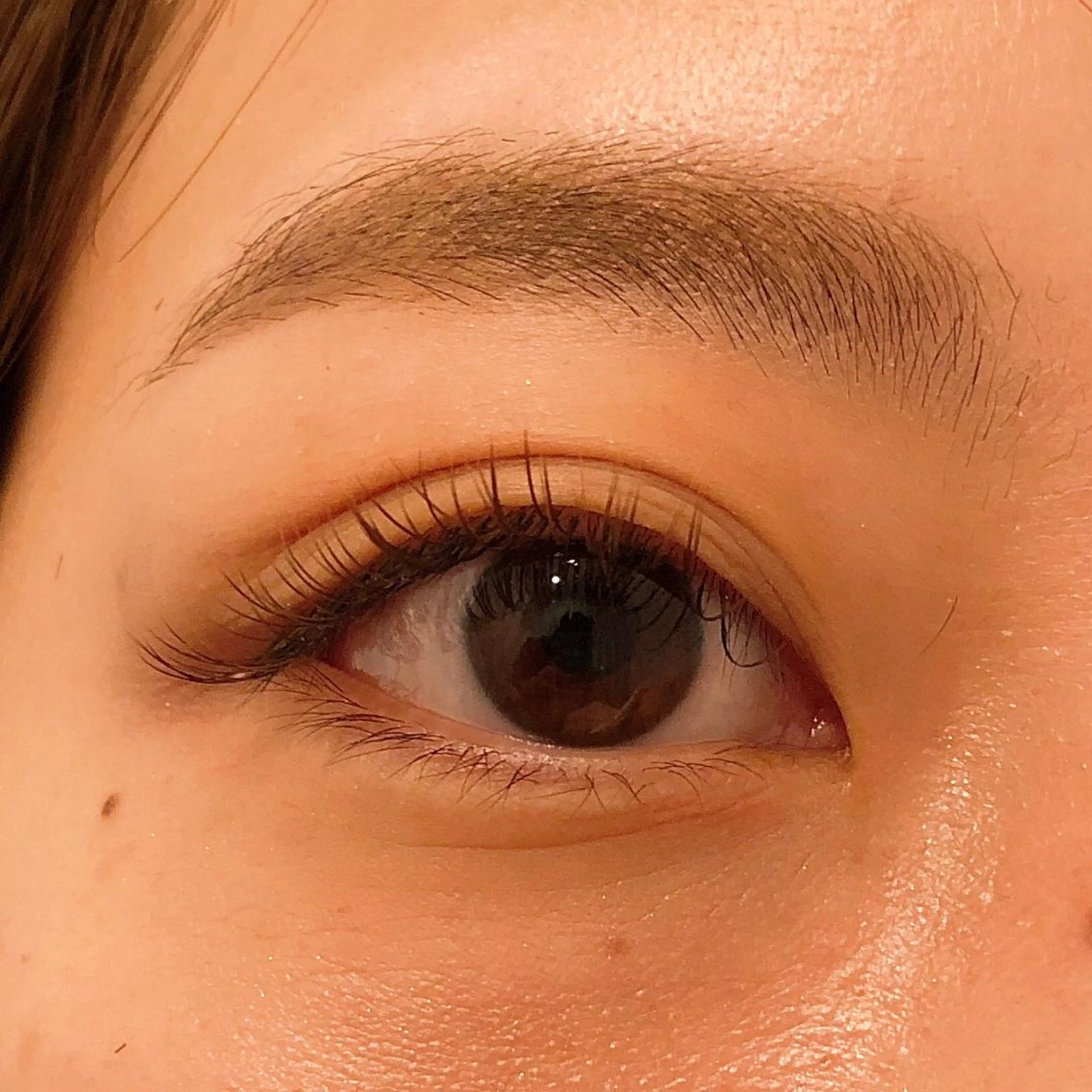 マツエク・マツパ マリーテレジア TATEISHIのマツエク・マツパデザイン