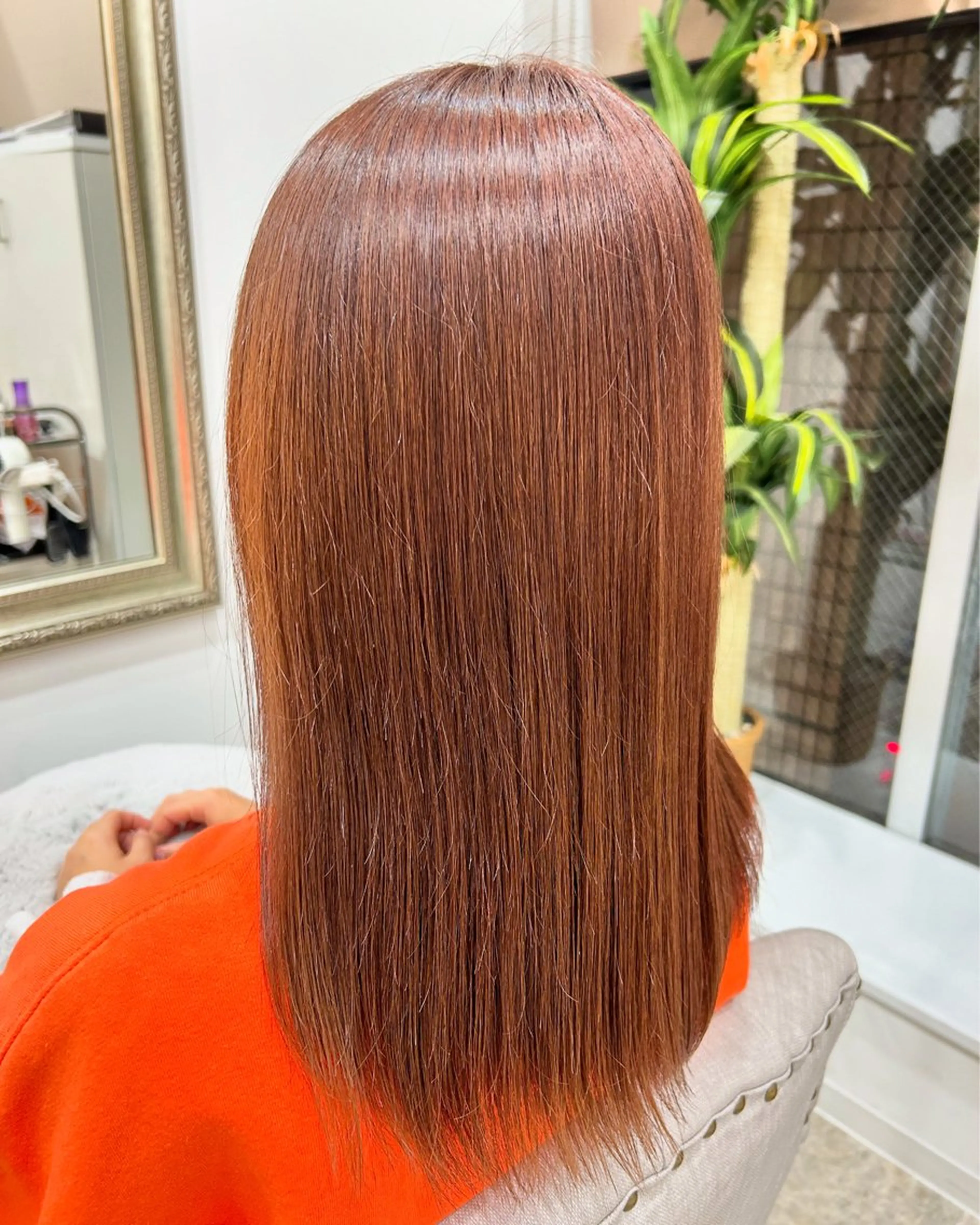 ワンカラー🦄💫＋💖3stepTR💖の写真