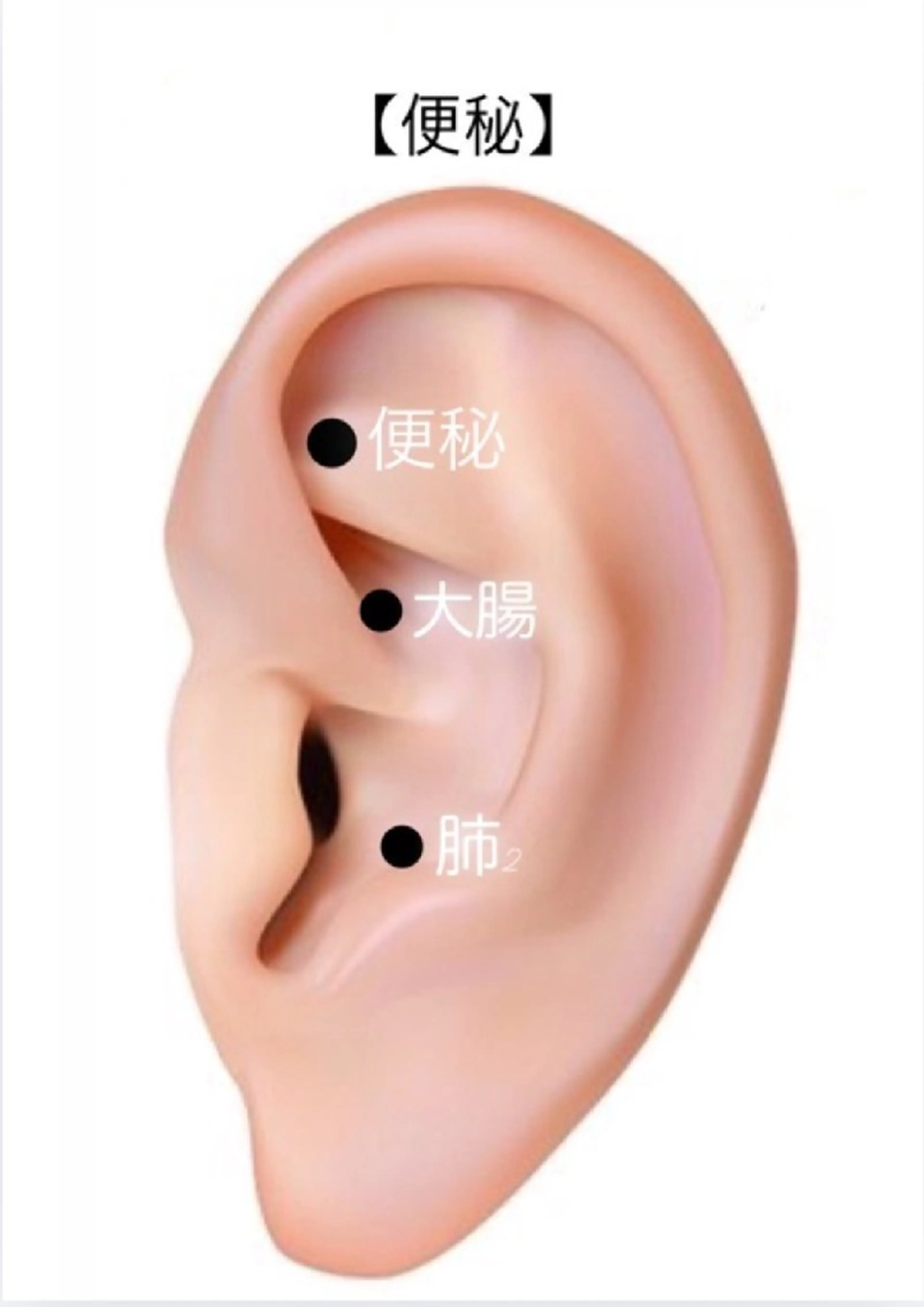  SOLEIL 小玉の眉毛・アイブロウイメージ