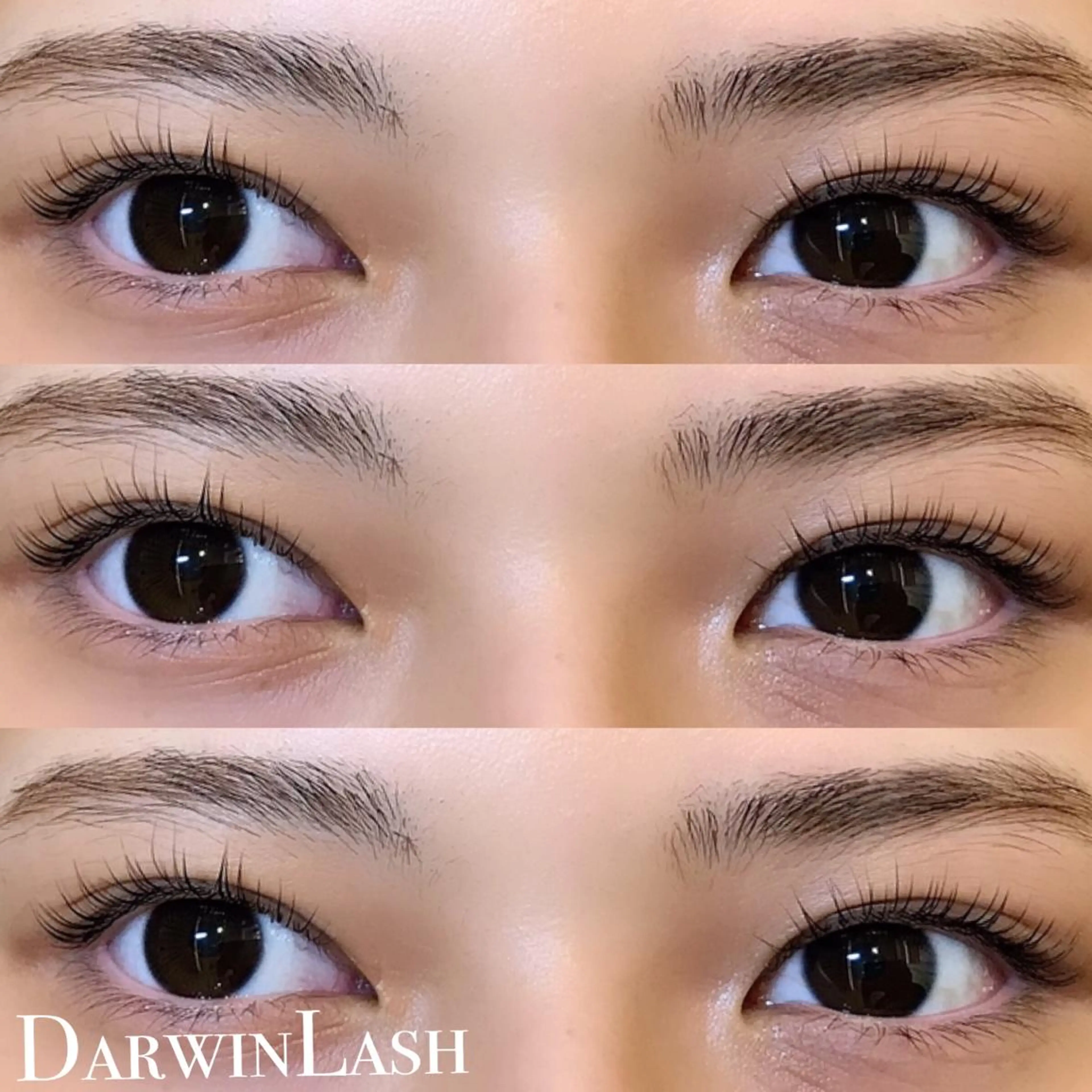 マツエク・マツパ まつげと眉毛のお店Sakura Lash【サクララッシュ】所属・【ダメージケア特化】 🌸 サクララッシュの眉毛・アイブロウイメージ