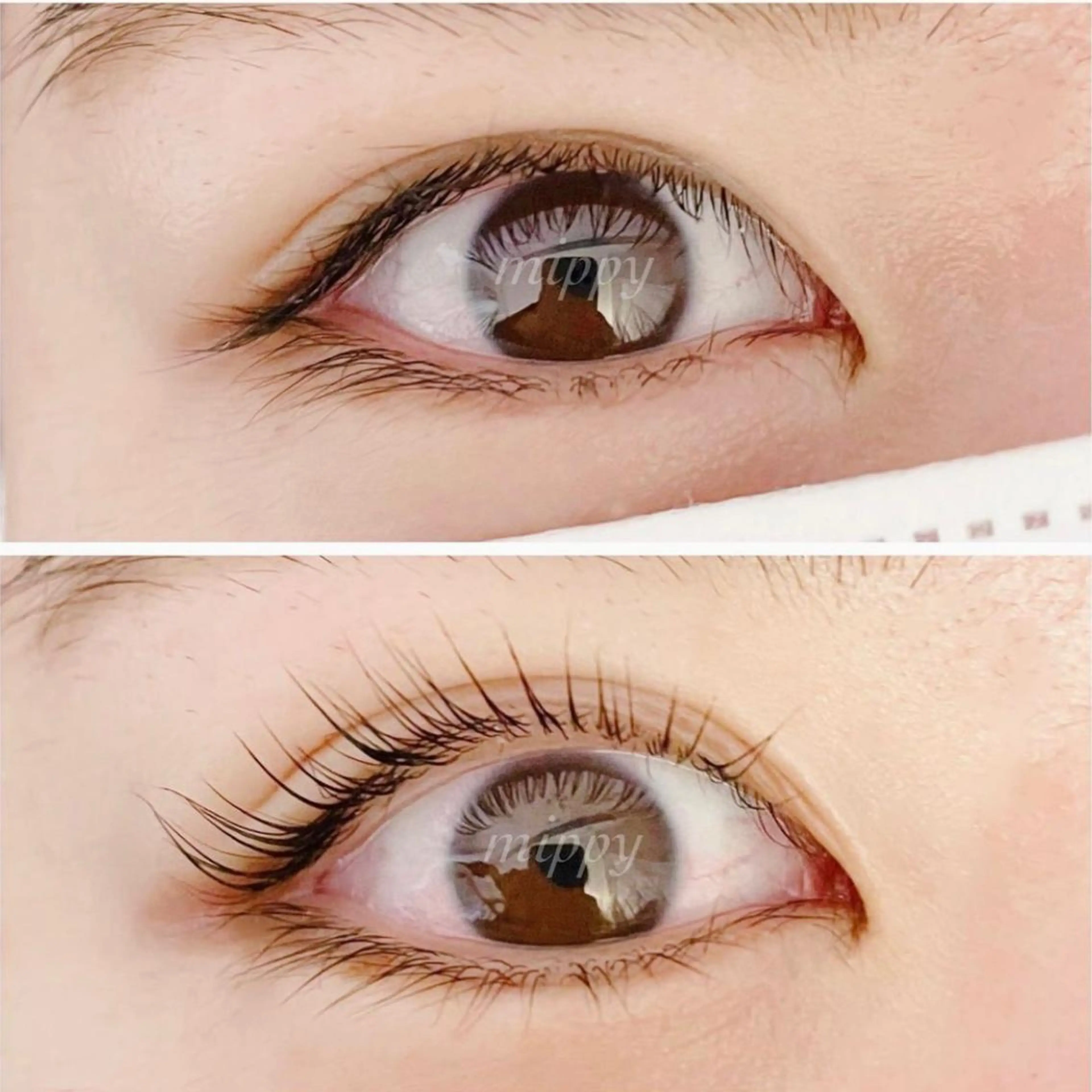 マツエク・マツパ パリジェンヌラッシュリフト ｍｉｐｐｙ 🪽のマツエク・マツパデザイン