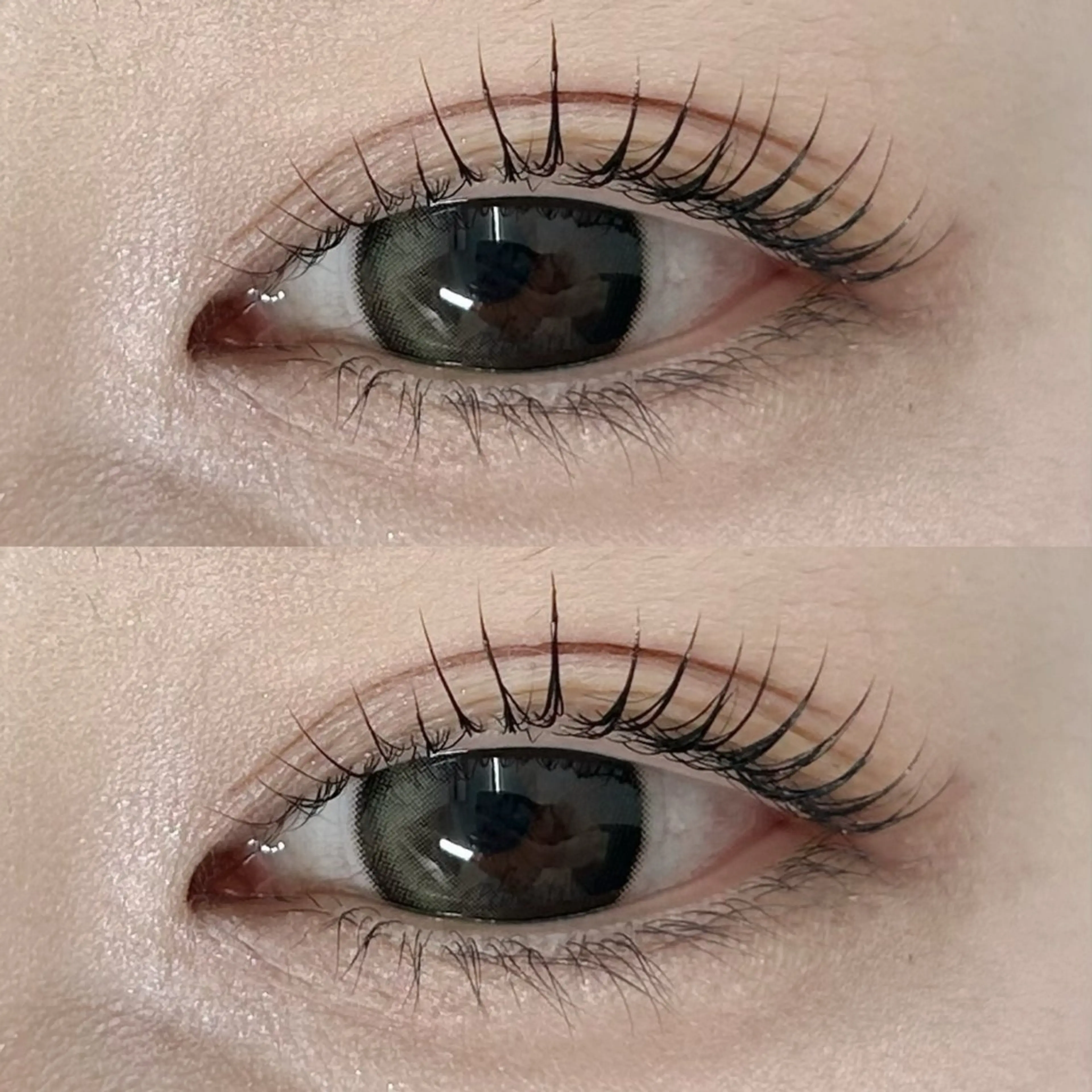 【🤎期間限定🤎】韓国風束感まつげパーマの写真