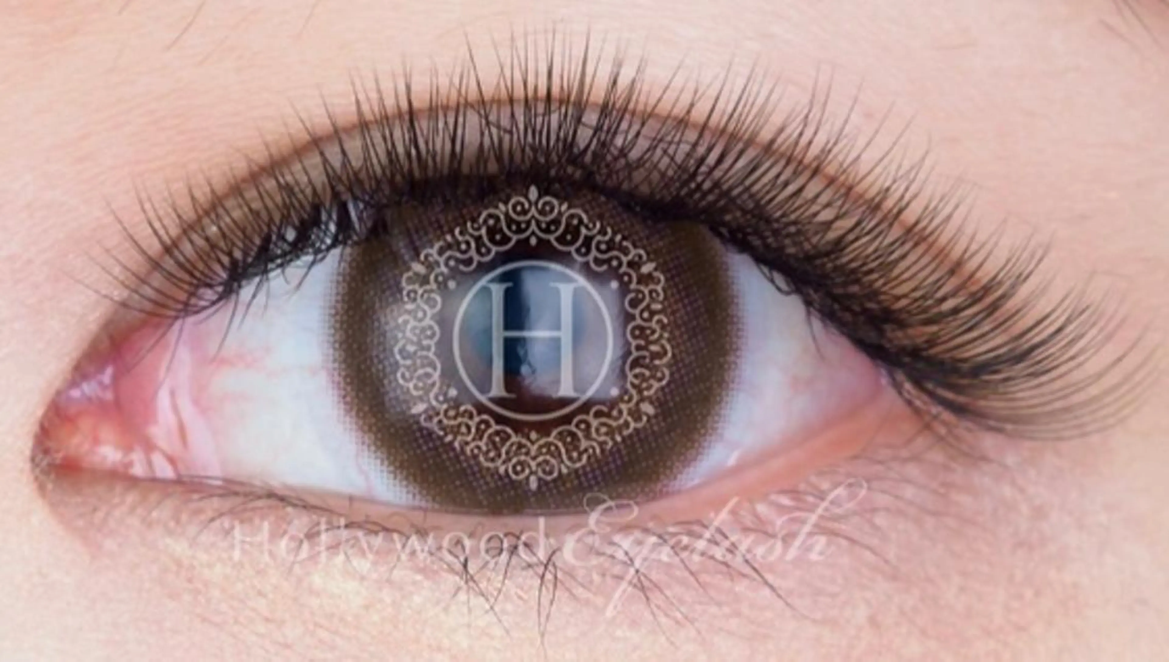 ・次世代ボリュームラッシュ✩.*˚6D 360本の写真