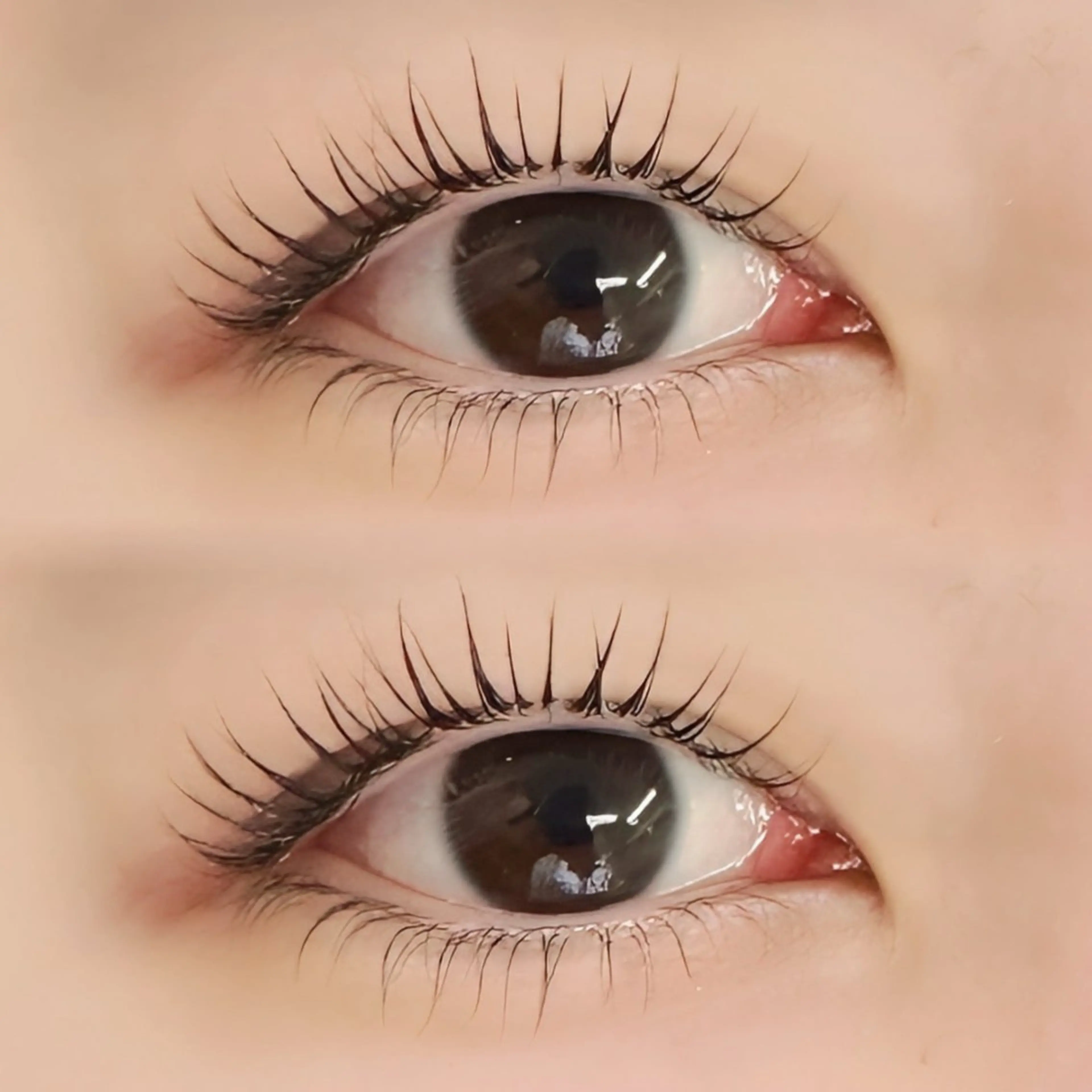 マツエク・マツパ Bianca 関内 TAKATA ¨̮✩のマツエク・マツパデザイン