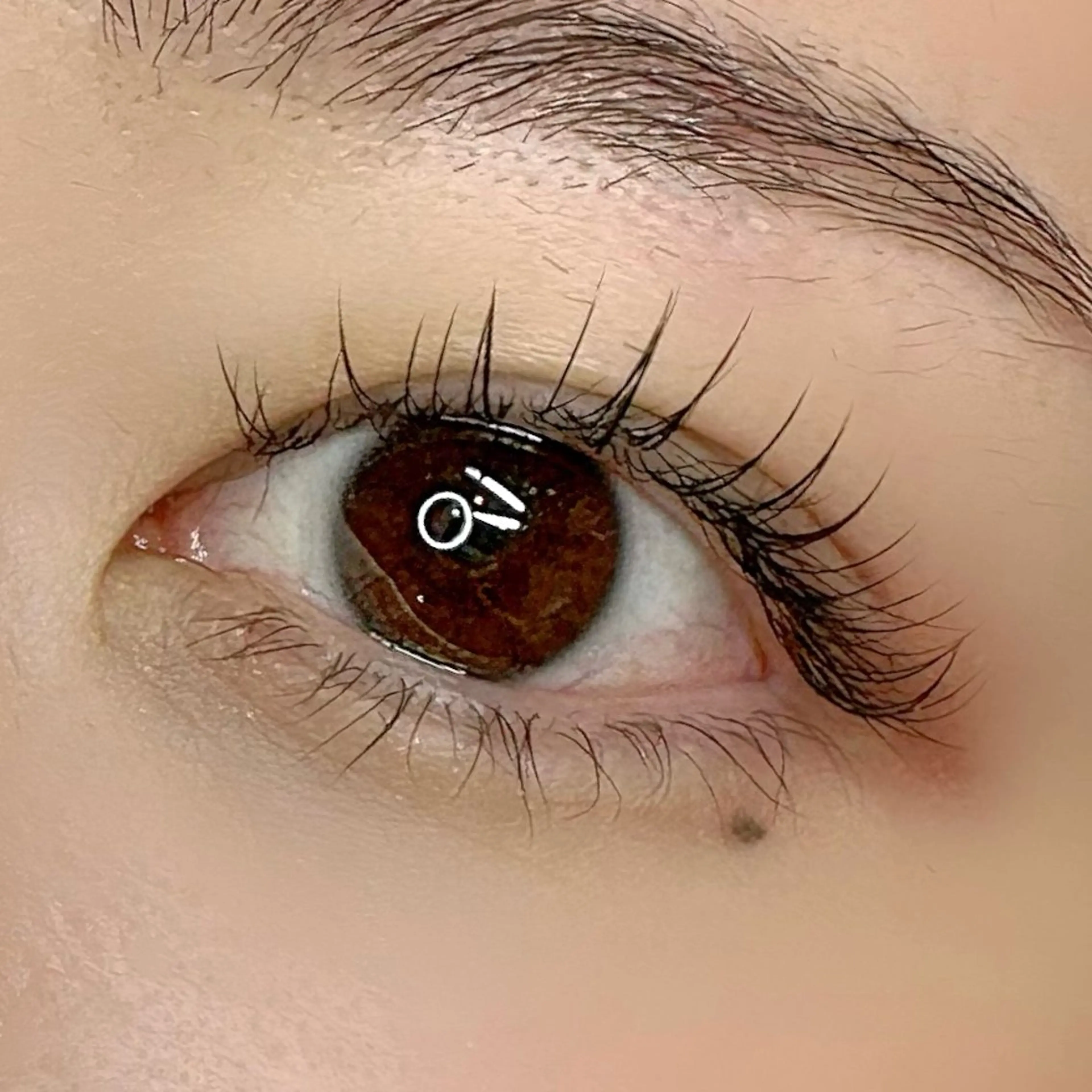 マツエク・マツパ キュート フラットラッシュ ナチュラル ella所属・ella eyelashのマツエク・マツパデザイン