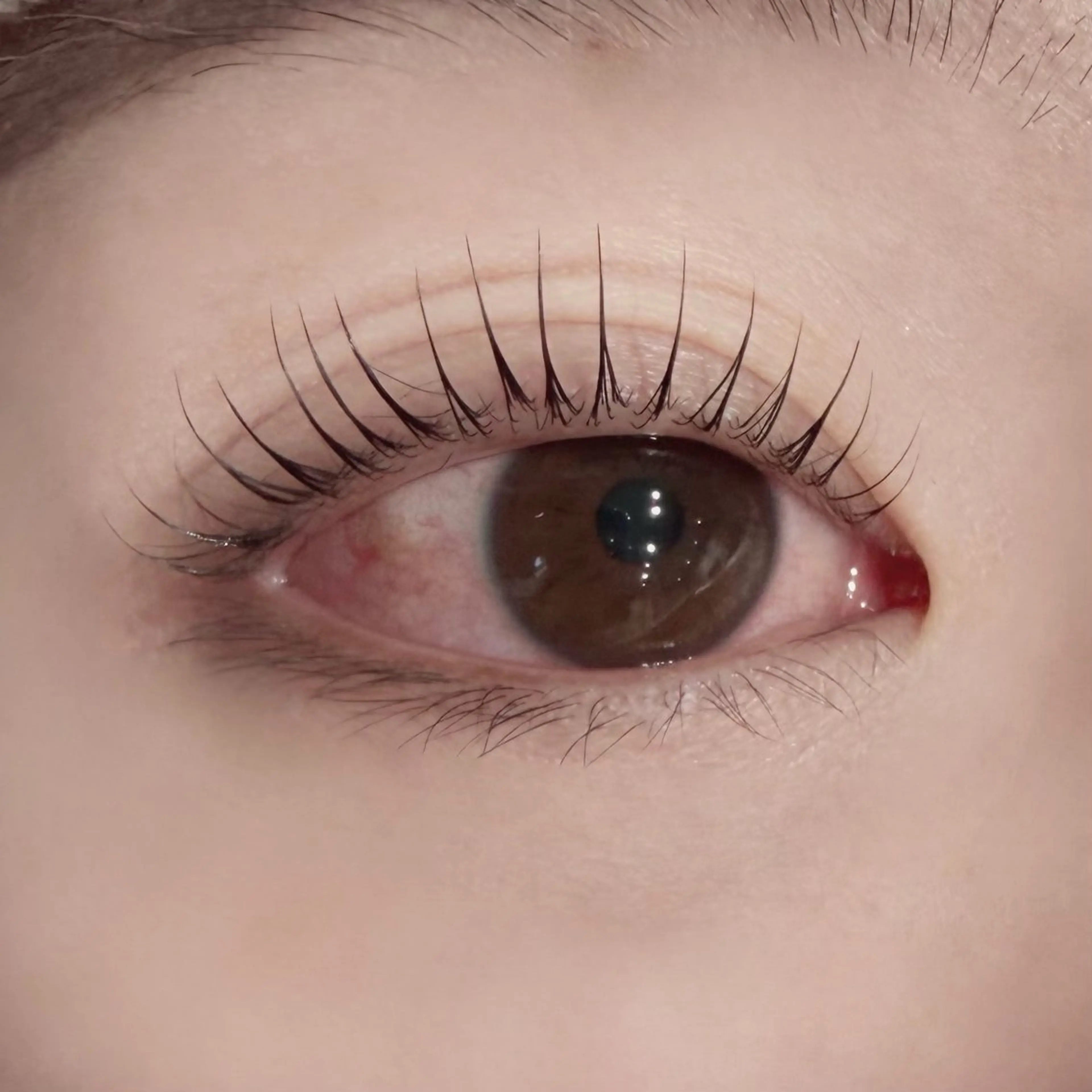 マツエク・マツパ マツパ Koti sakai mayuのマツエク・マツパデザイン