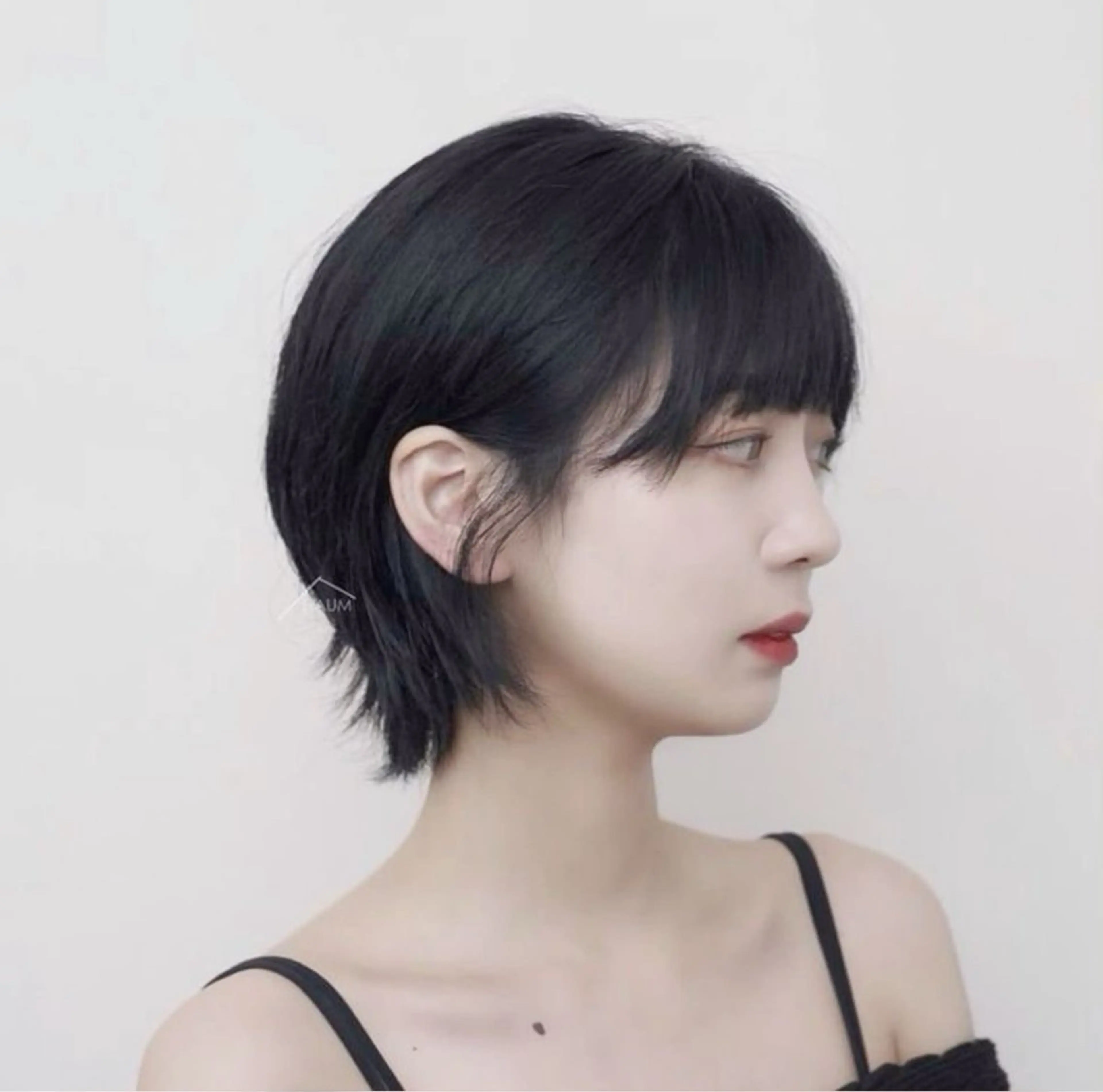 ショート ショートヘア kakimoto arms所属・施術無料 🦊田中 集🦊のヘアスタイル