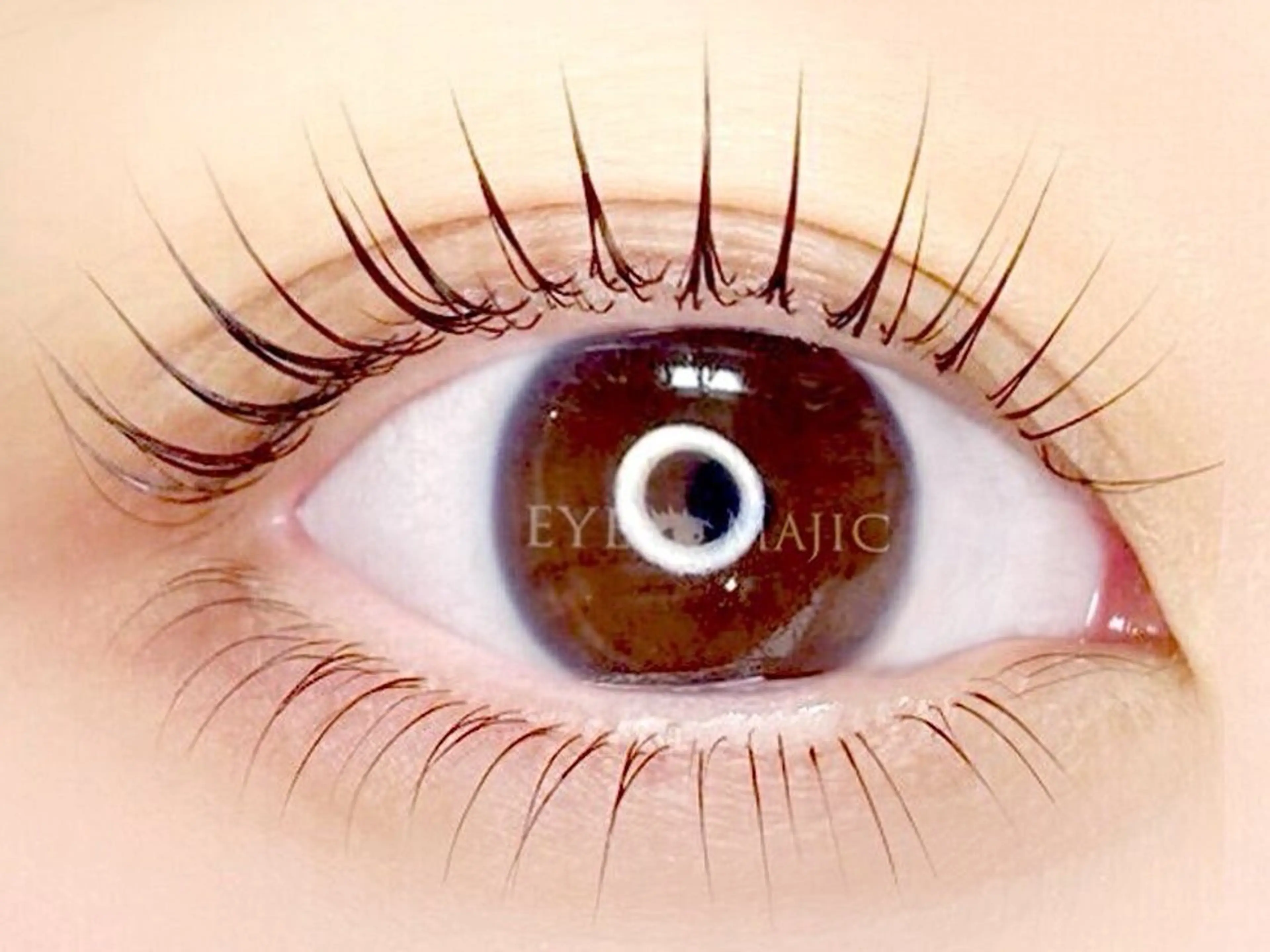 【エクステオフ無】上下パリジェンヌラッシュリフトor＜上下＞似合わせまつげパーマの写真