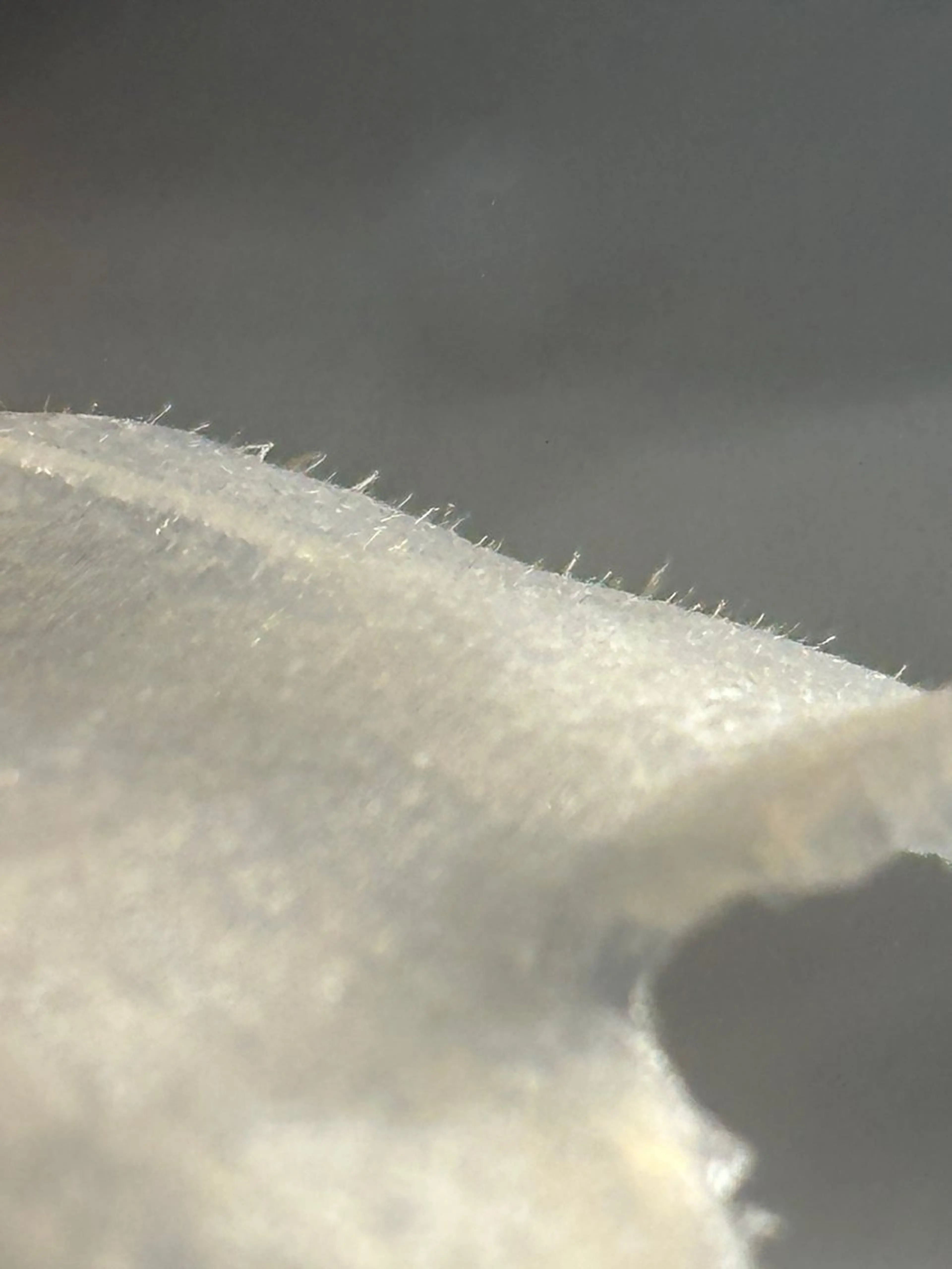 西船橋soil〜 /ボディケア専門のエステ・リラクイメージ