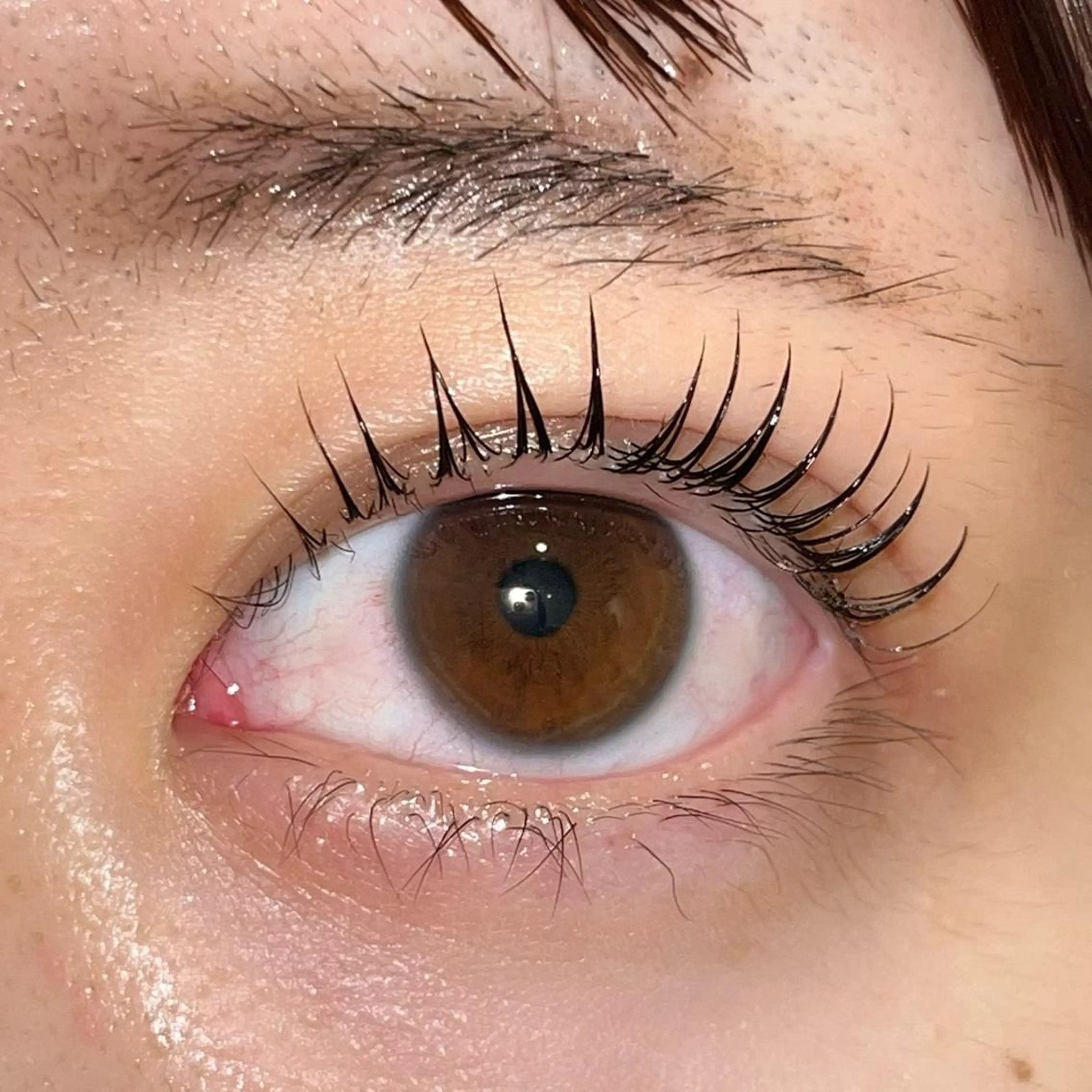 マツエク・マツパ パリジェンヌラッシュリフト まつげパーマ ai一重専門🎀束感 まつげ🫧表参道のマツエク・マツパデザイン