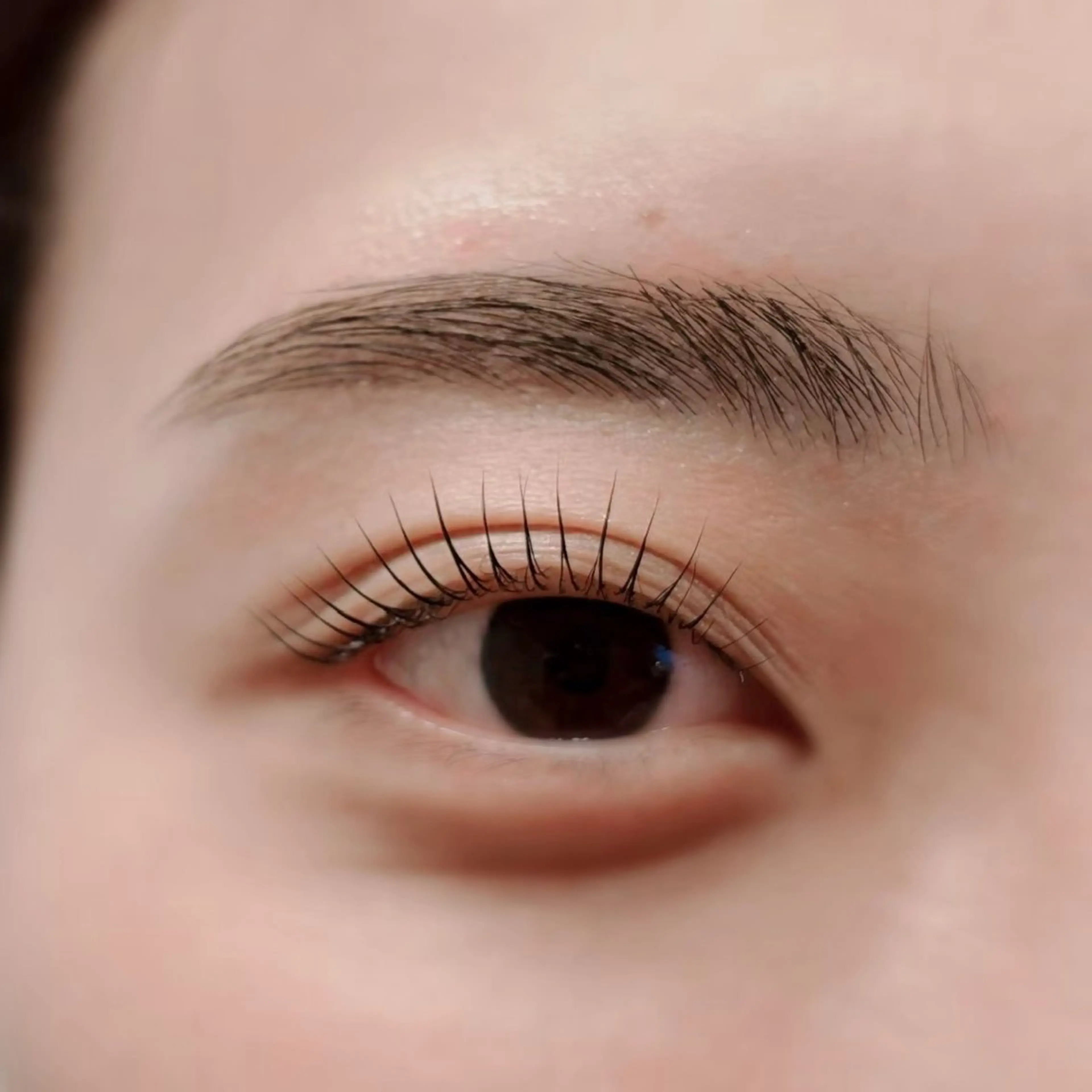 マツエク・マツパ Biolus／天王寺 ２号店🌼Arisaのマツエク・マツパデザイン