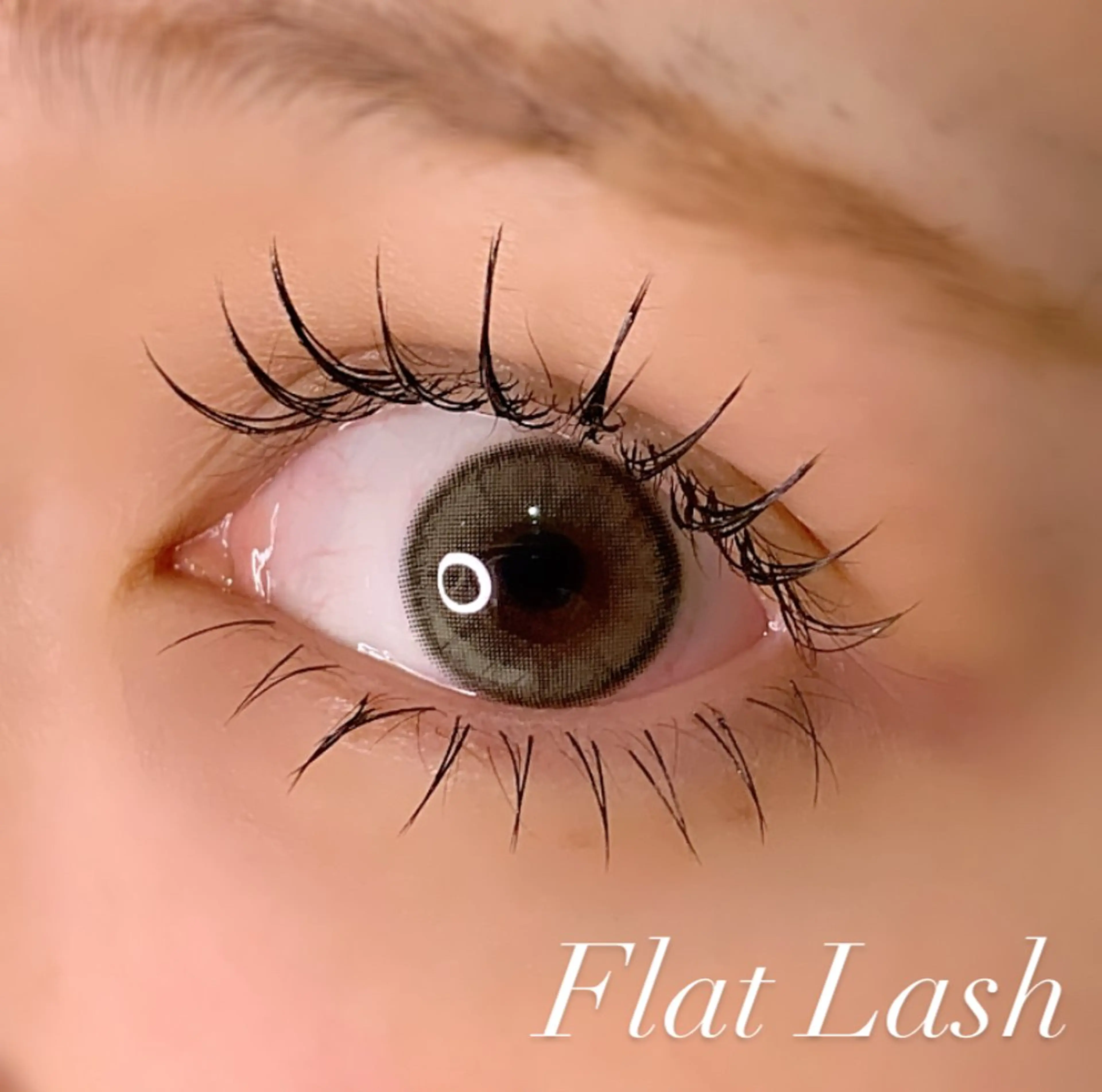 マツエク・マツパ Cカール フラットラッシュ マツエク Ayumi.pro 🍆N《4階》のマツエク・マツパデザイン