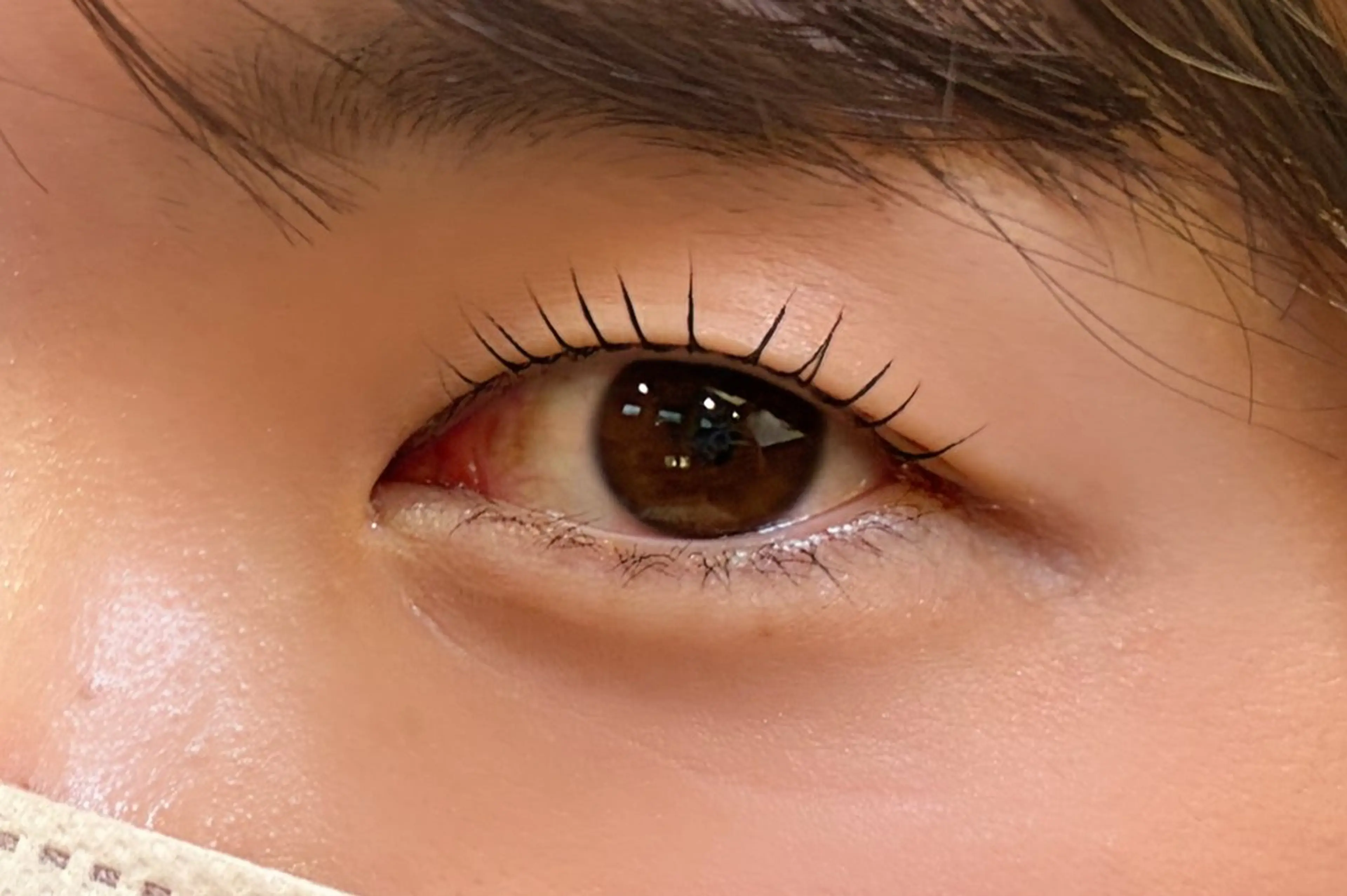 上まつ毛、ラッシュリフト⚠️一重の方限定の写真