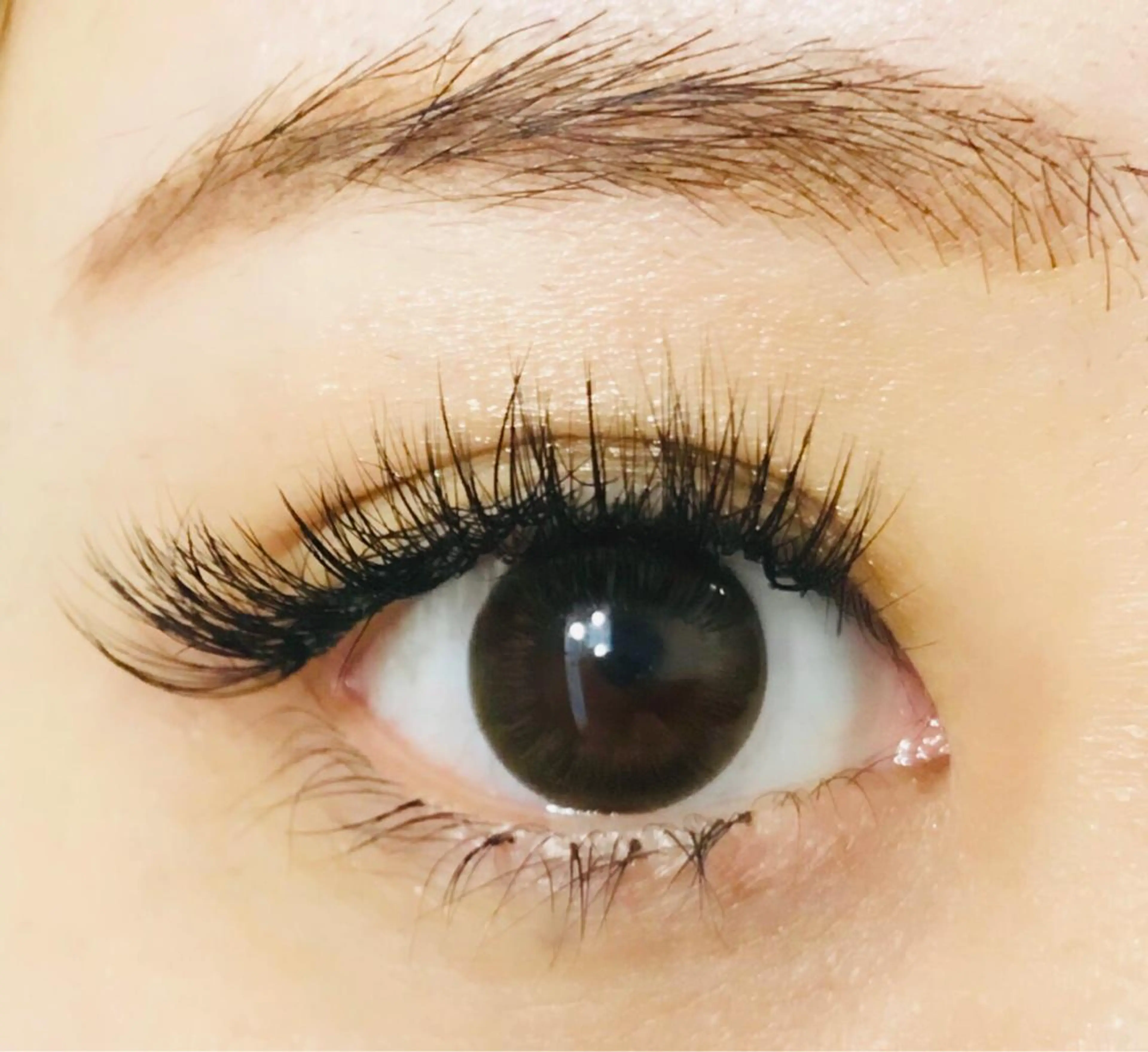 マツエク・マツパ ボリュームラッシュ Jelly Beans所属・小沼 絵菜のマツエク・マツパデザイン