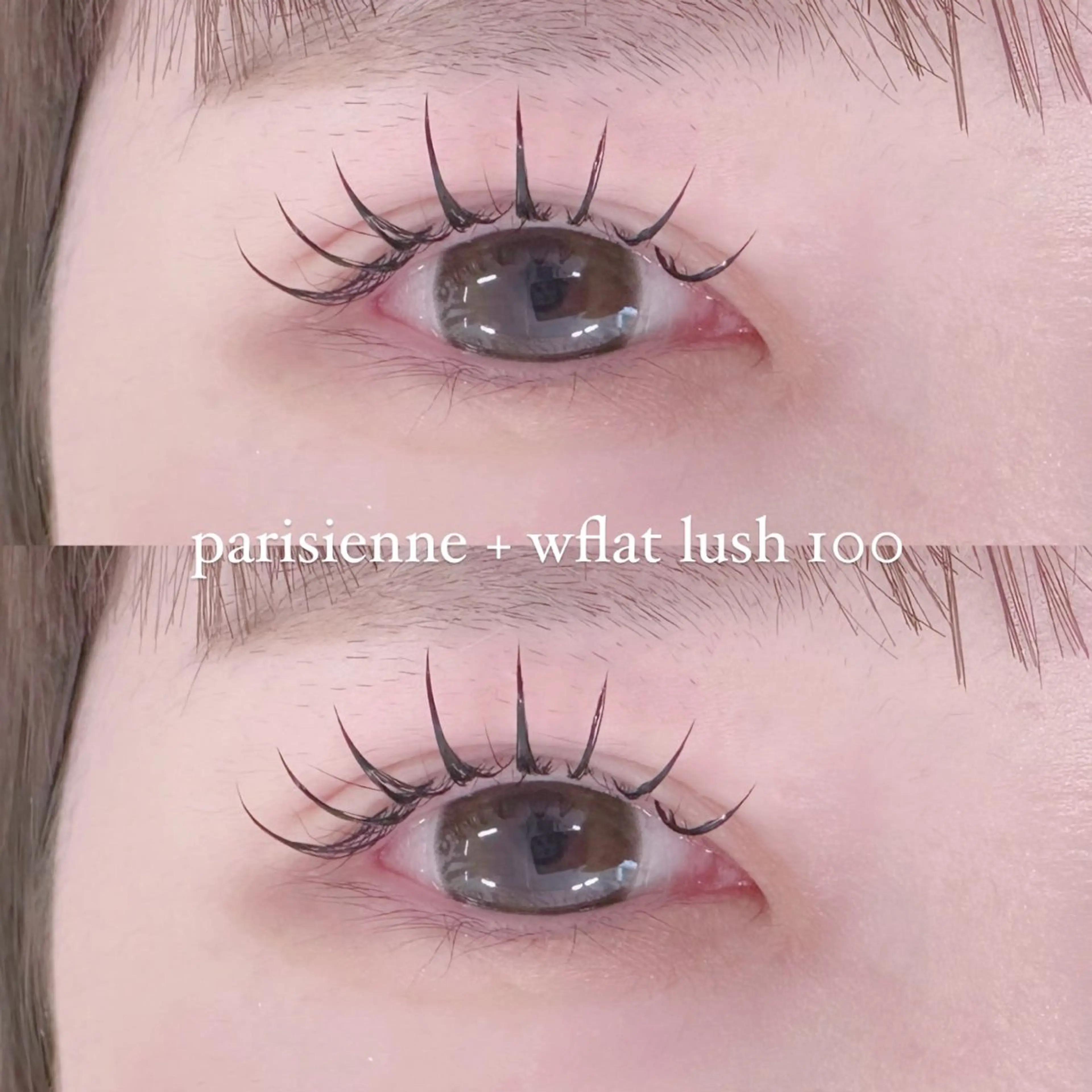 マツエク・マツパ Shucre名駅🤍 AYUのマツエク・マツパデザイン