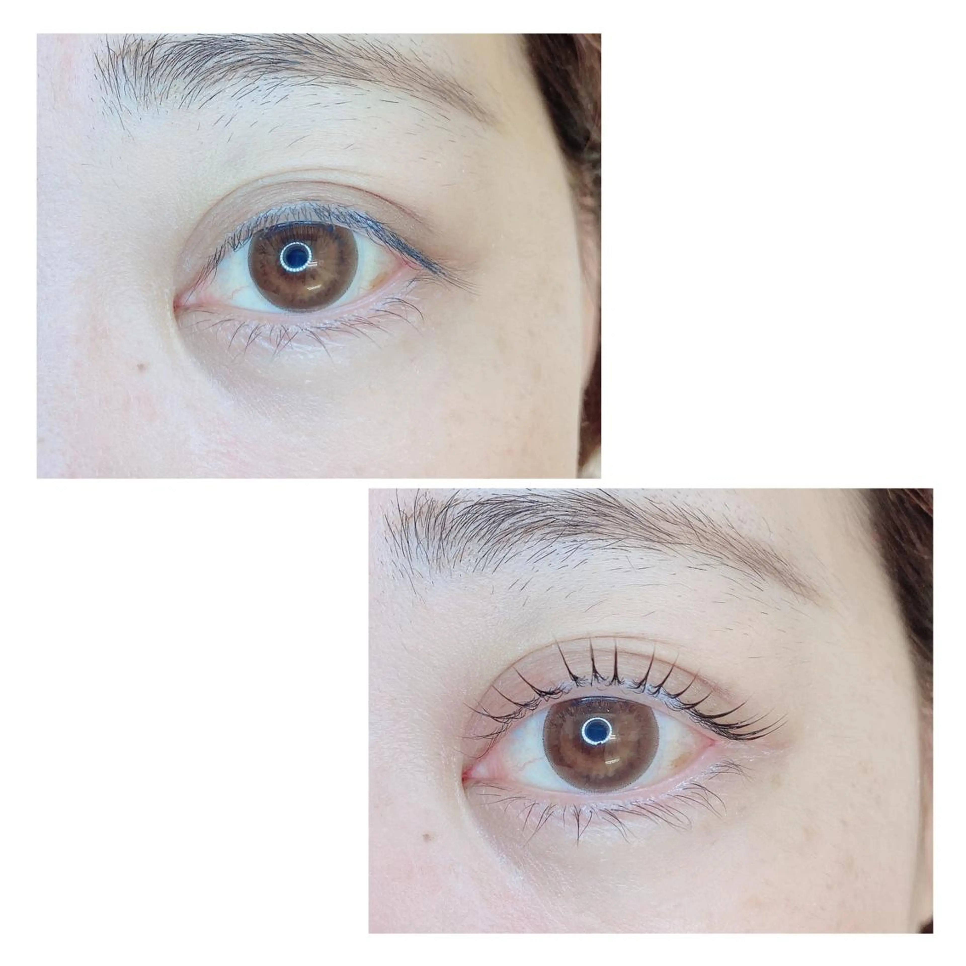 マツエク・マツパ TIARA池袋西口店 店長YASUKA💐のマツエク・マツパデザイン