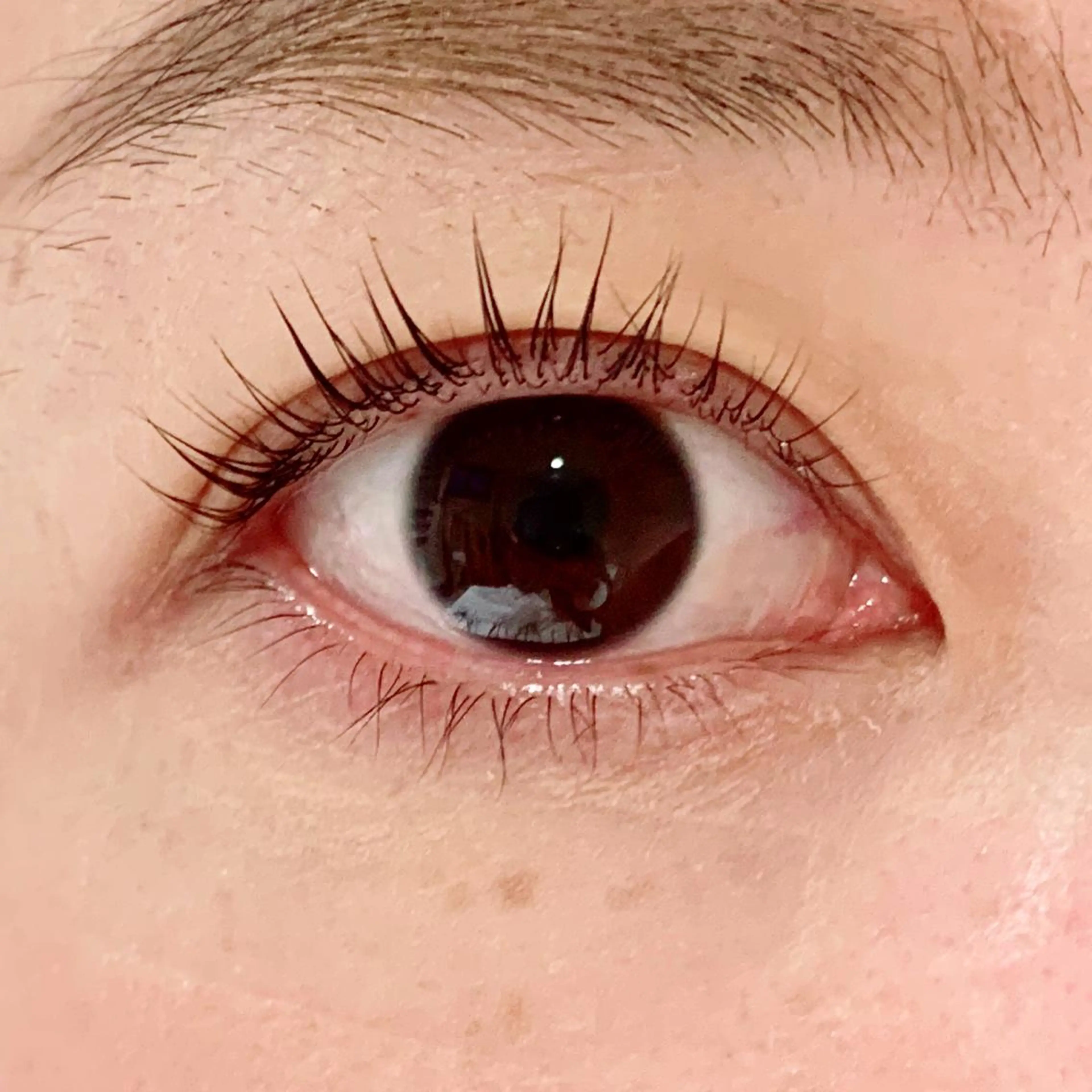 マツエク・マツパ パリジェンヌラッシュリフト 林 智恵美のマツエク・マツパデザイン